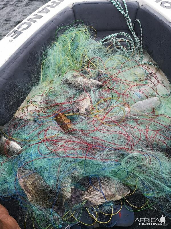 Gill Netting by Locals