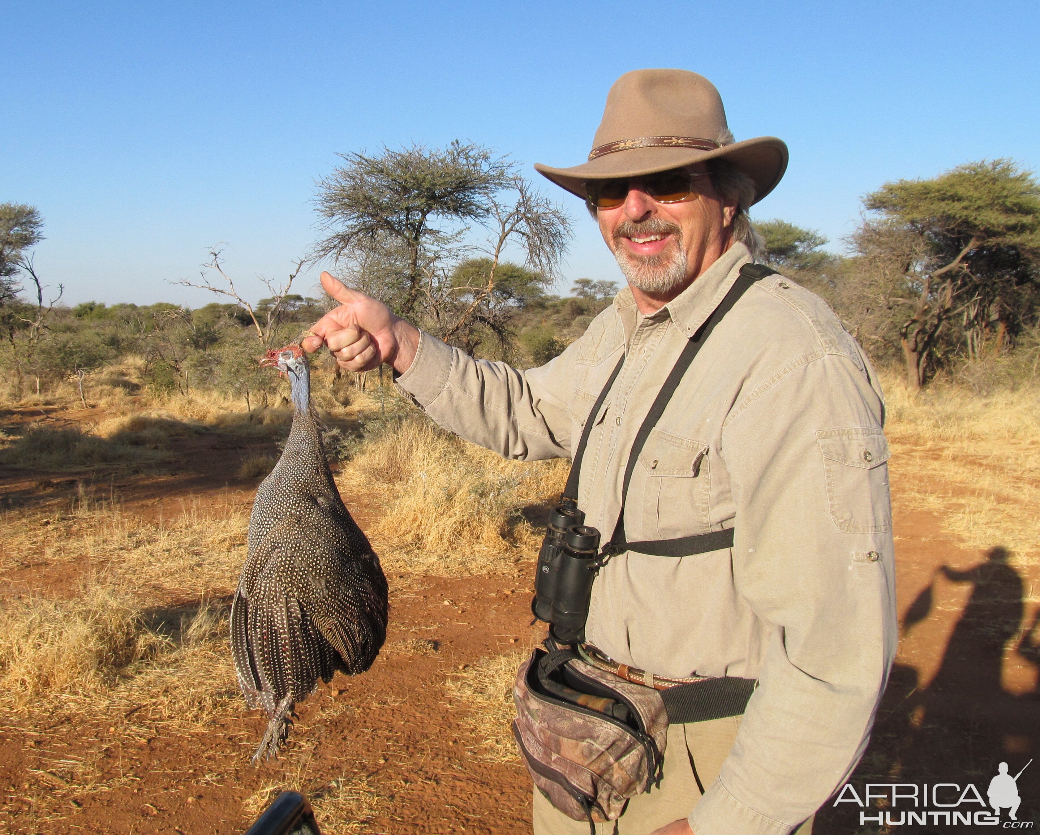 Gineafowl Namibia