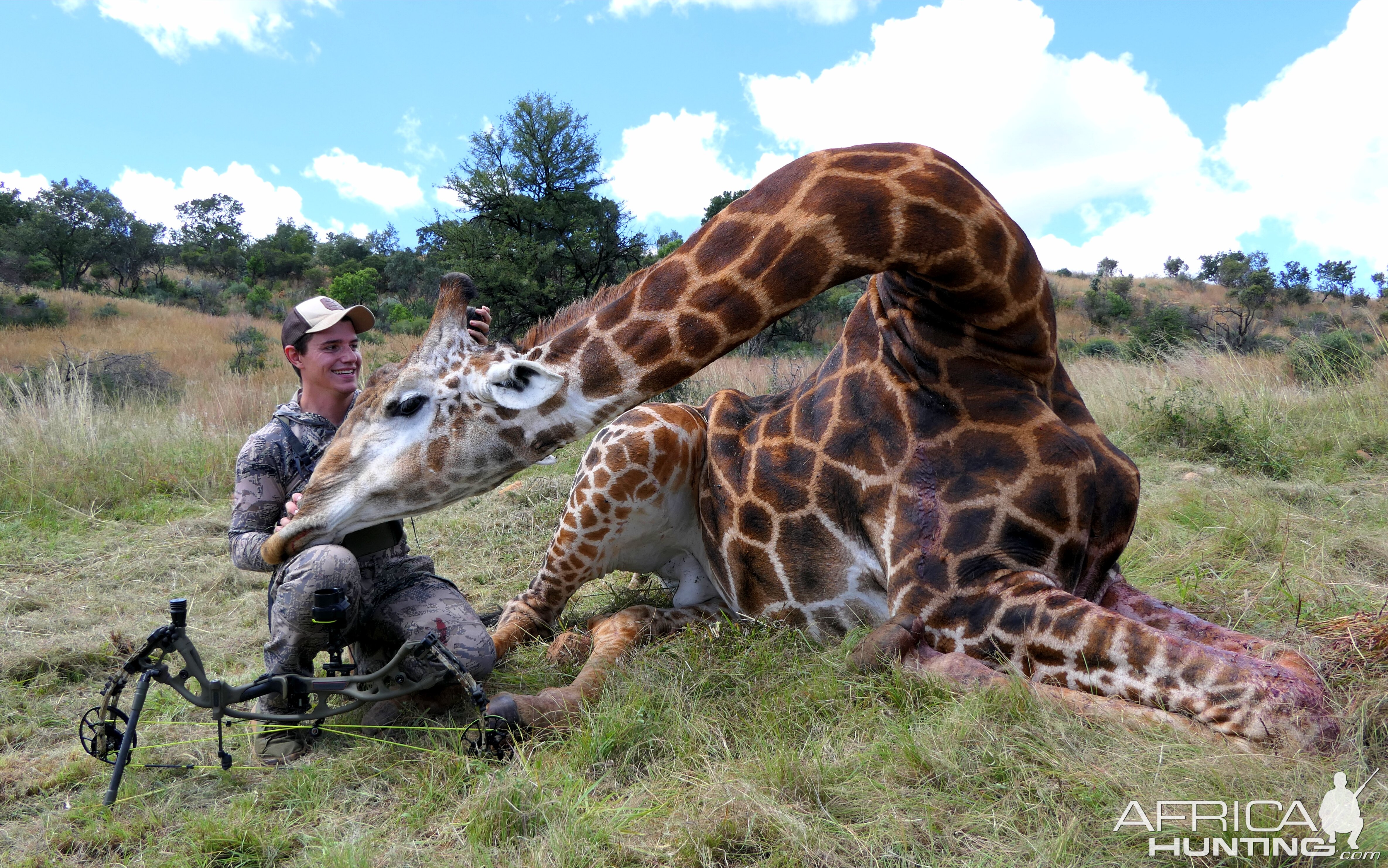 Giraffe Bow HuntSouth Africa