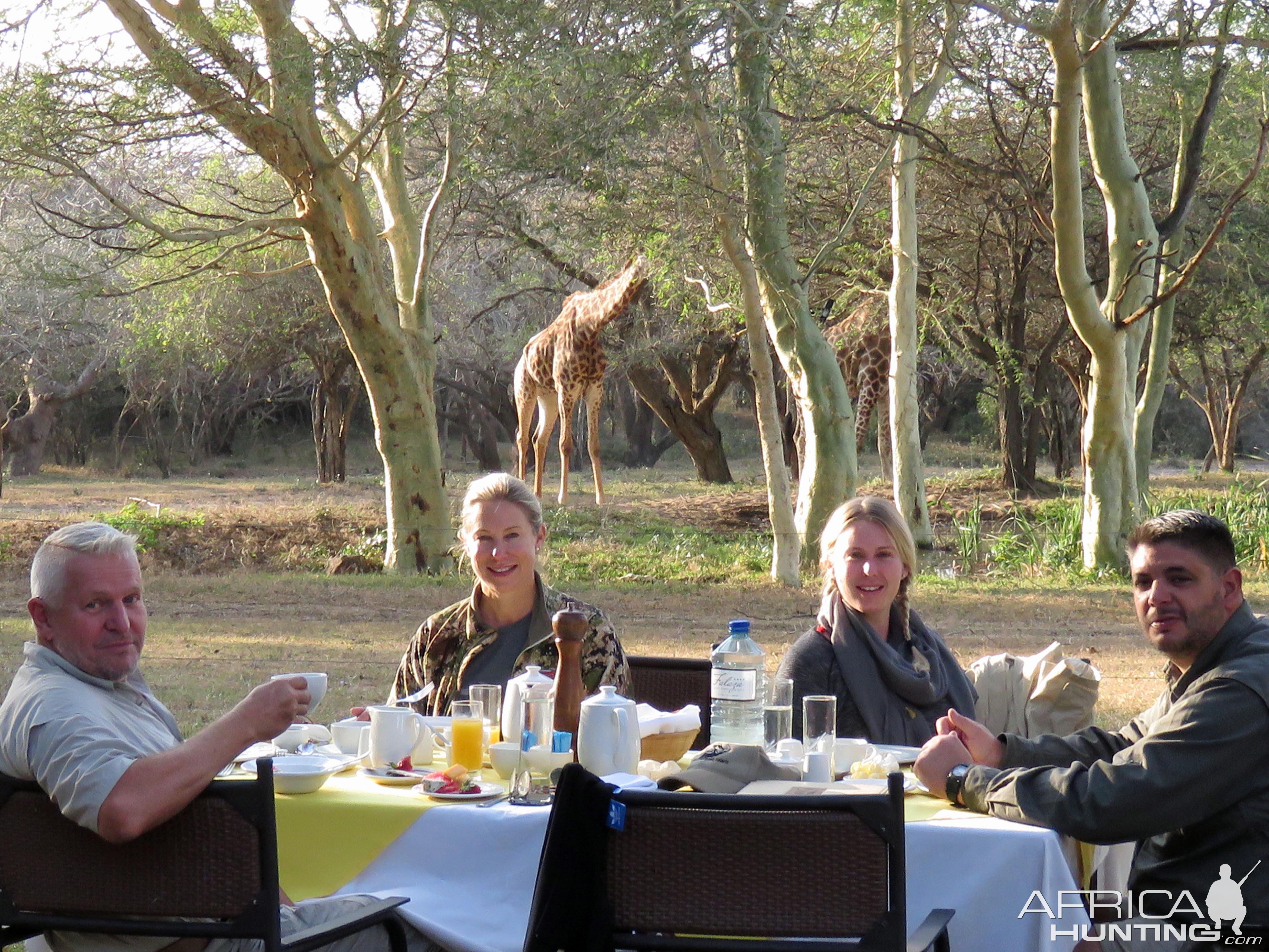 Giraffe & breakfast