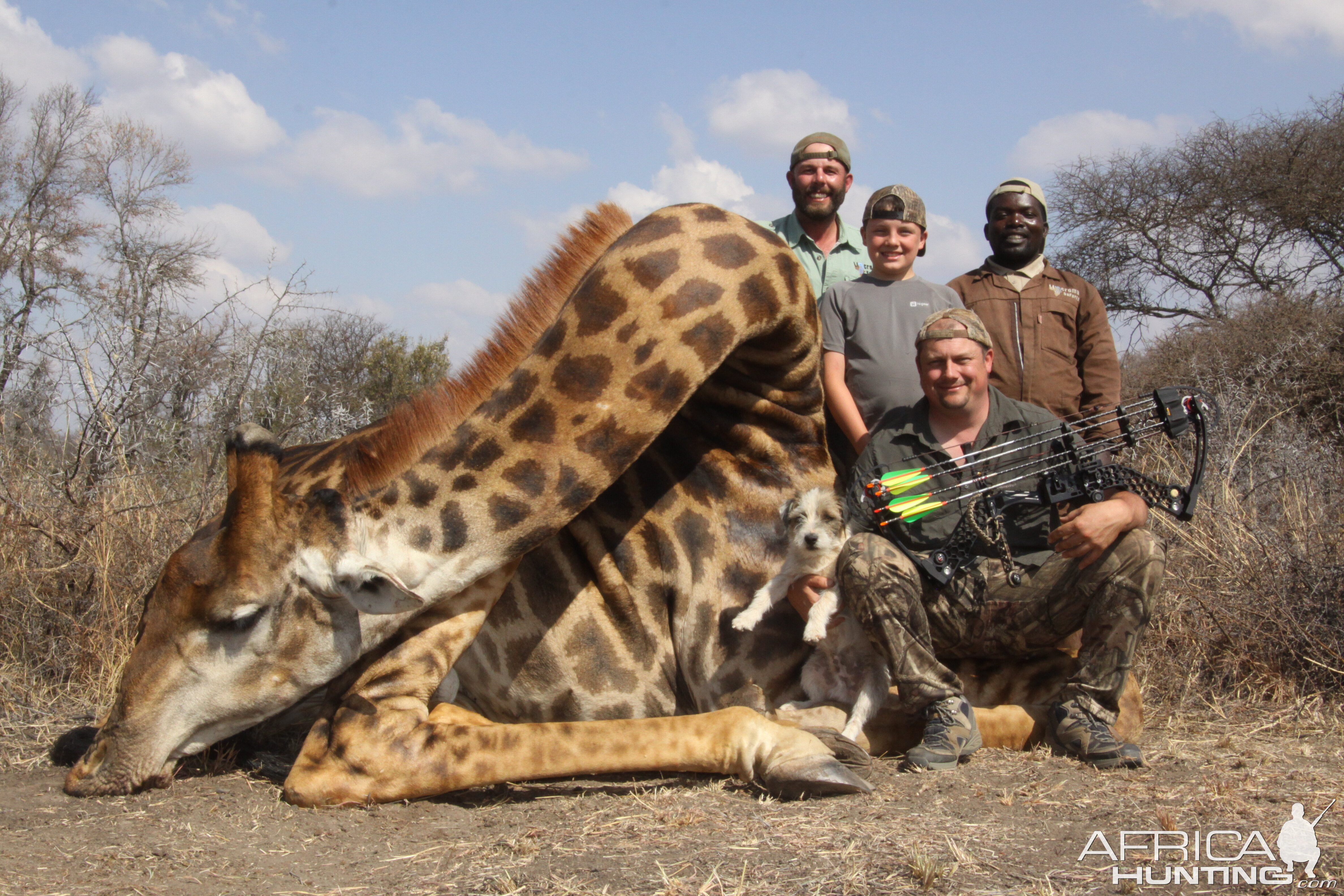 Giraffe bull with Limcroma Safaris