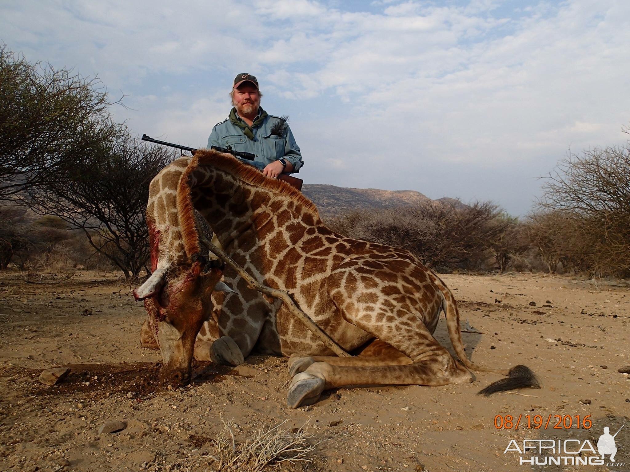 Giraffe cull - Namibia 2016