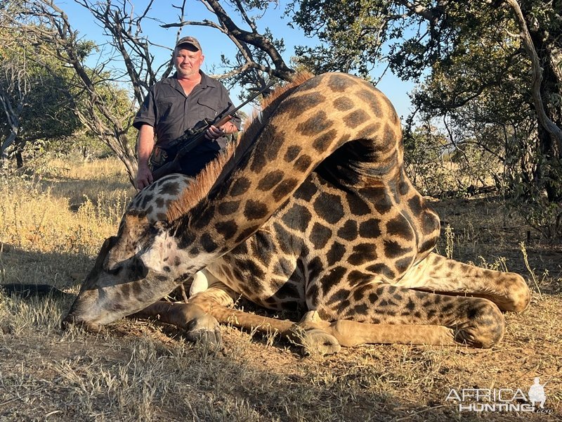 Giraffe Hunt Eastern Cape South Africa