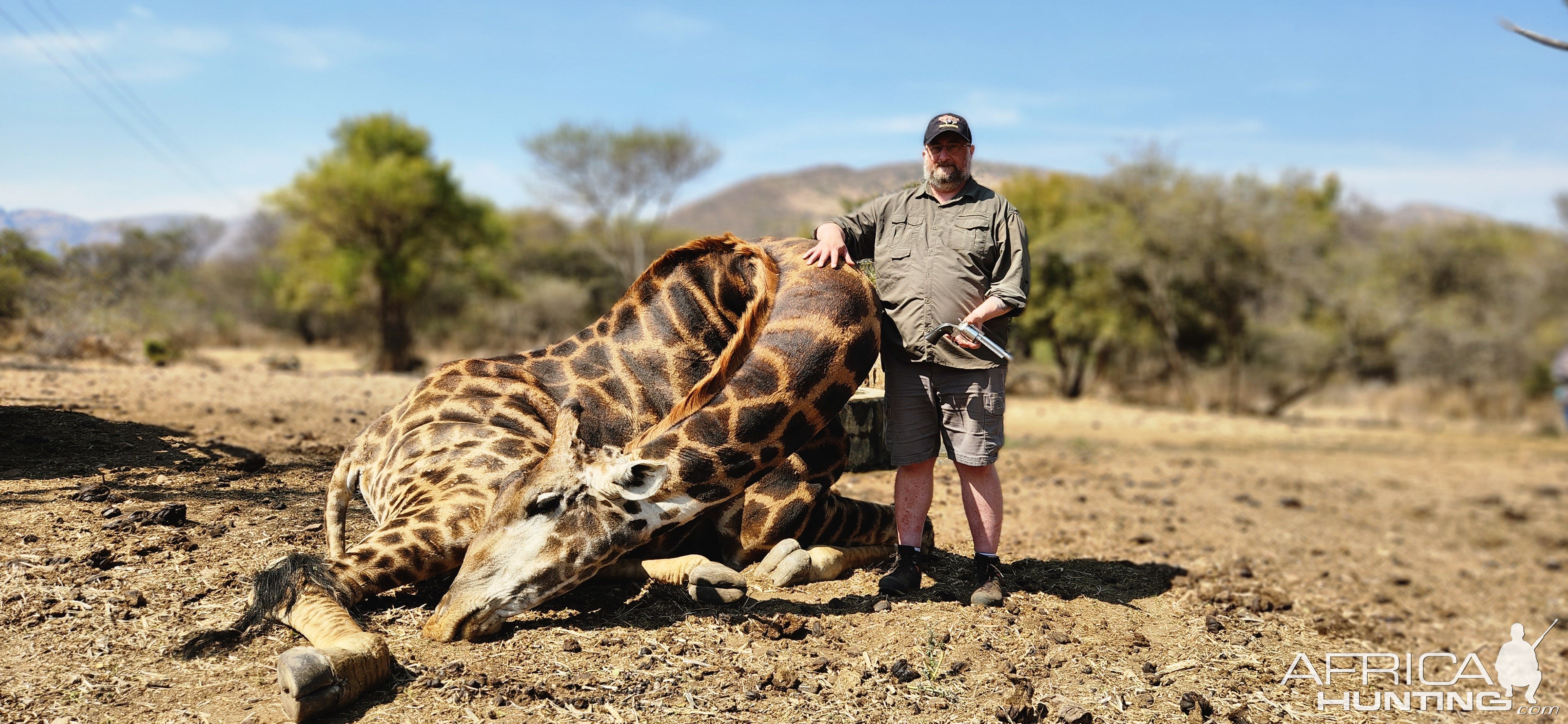 Giraffe Hunt Limpopo South Africa