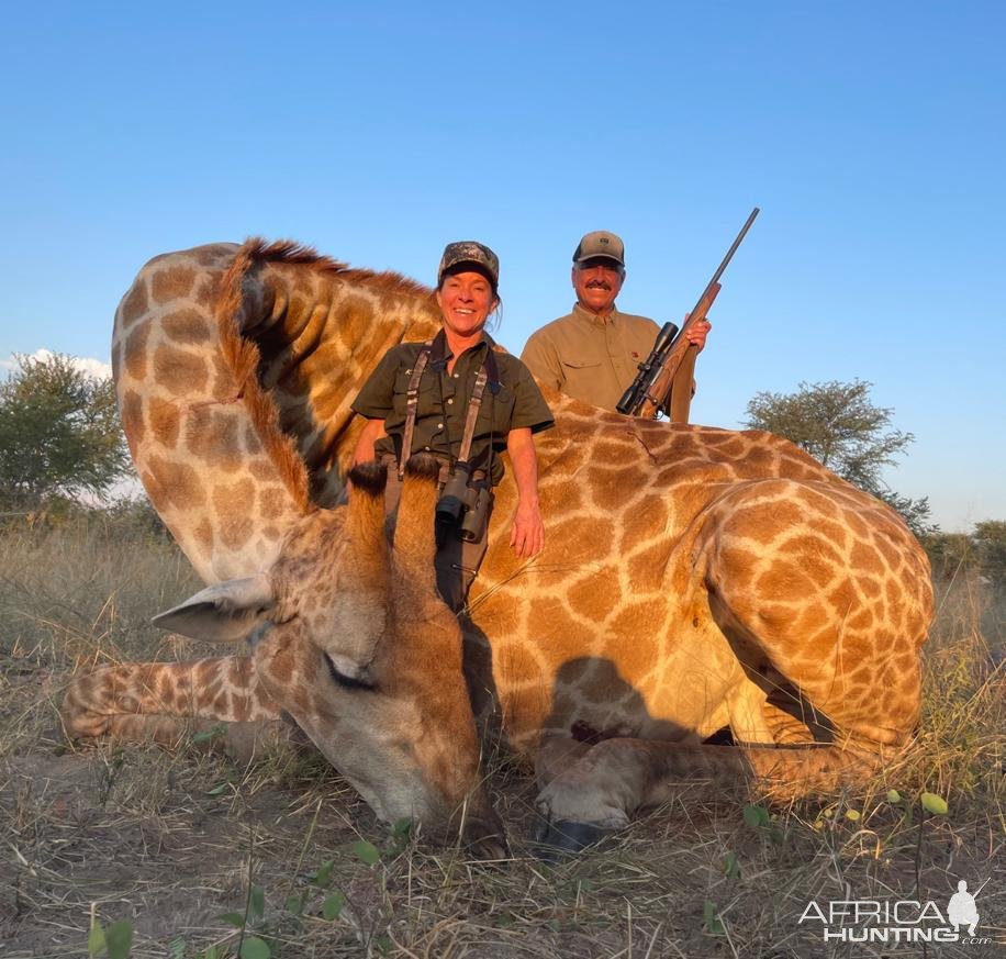 Giraffe Hunt Namibia