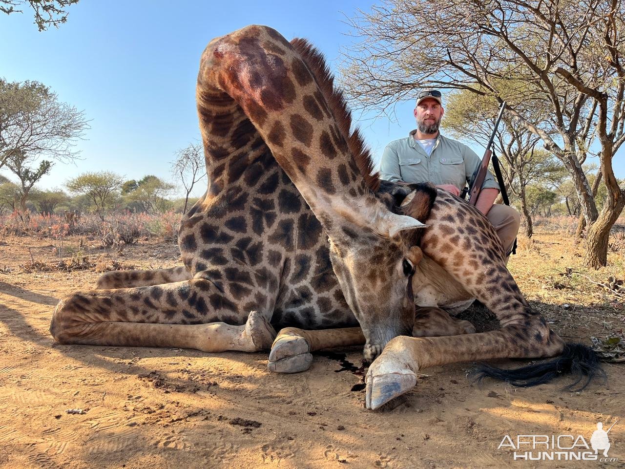 Giraffe hunt North West Province