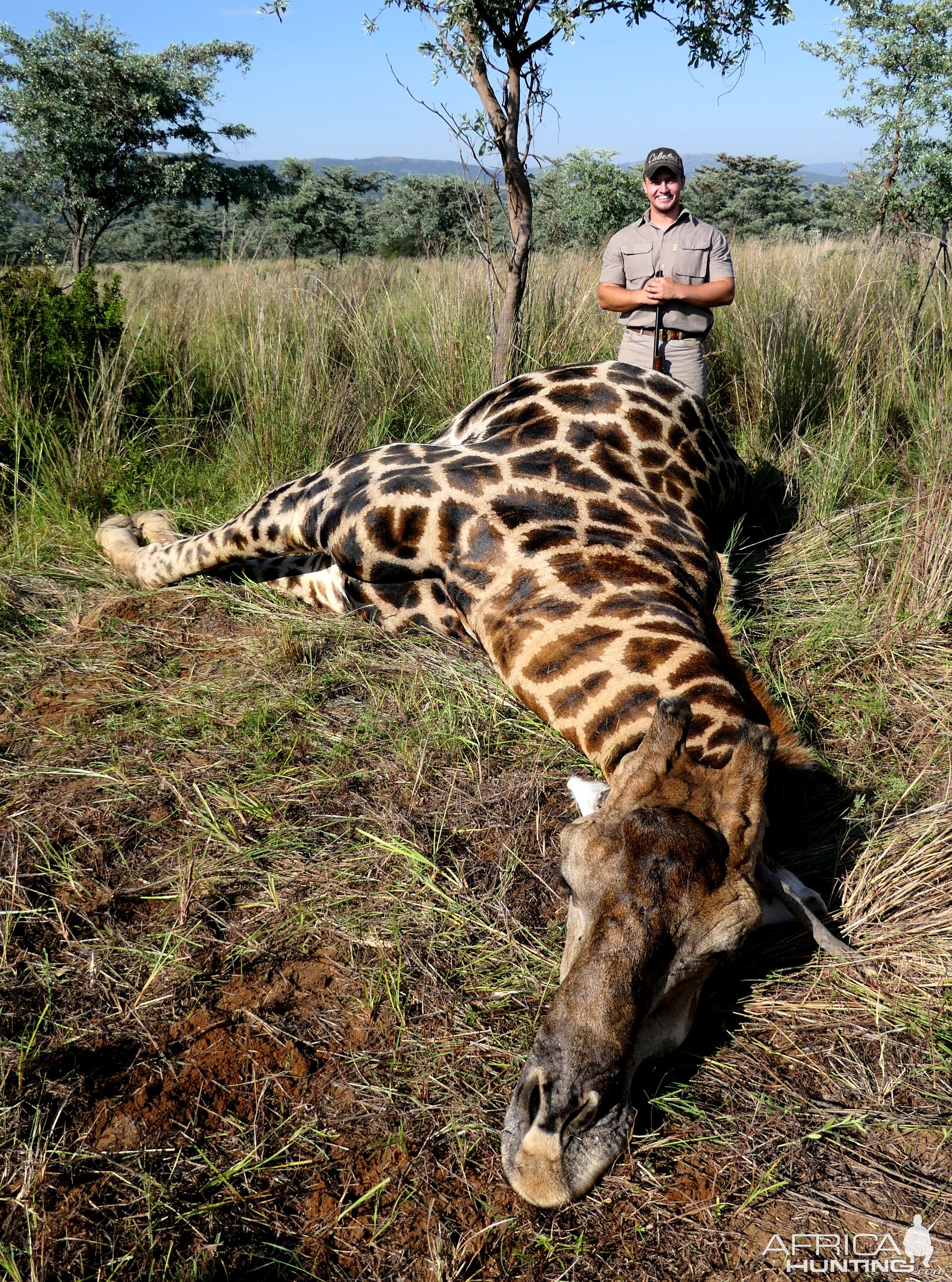 Giraffe Hunt South Africa