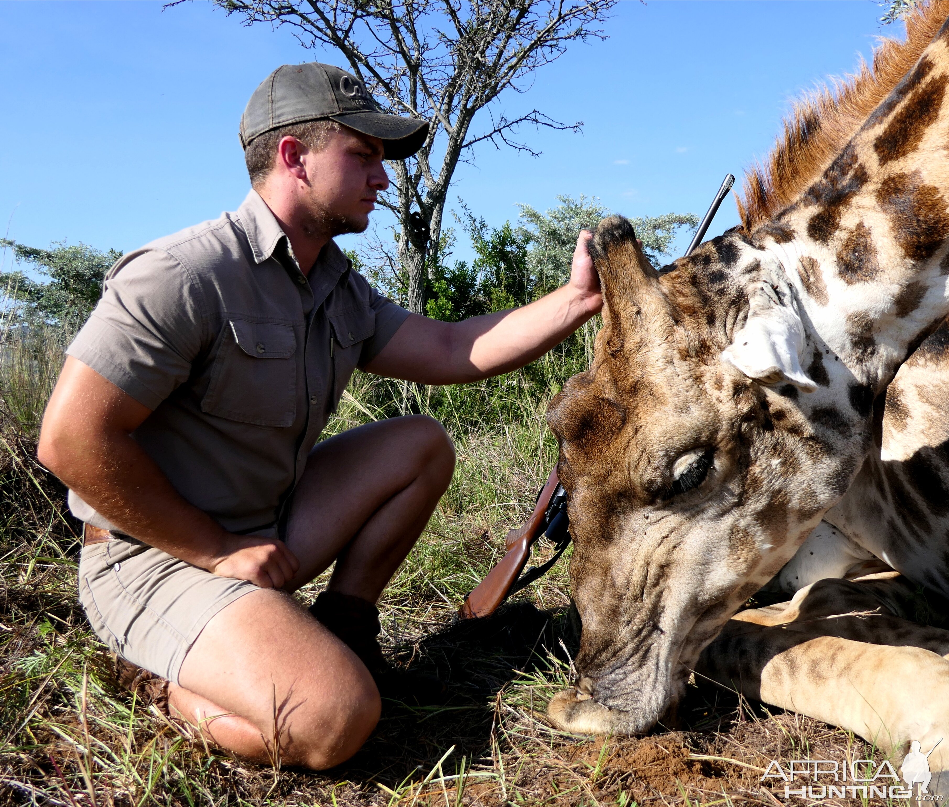 Giraffe Hunt South Africa