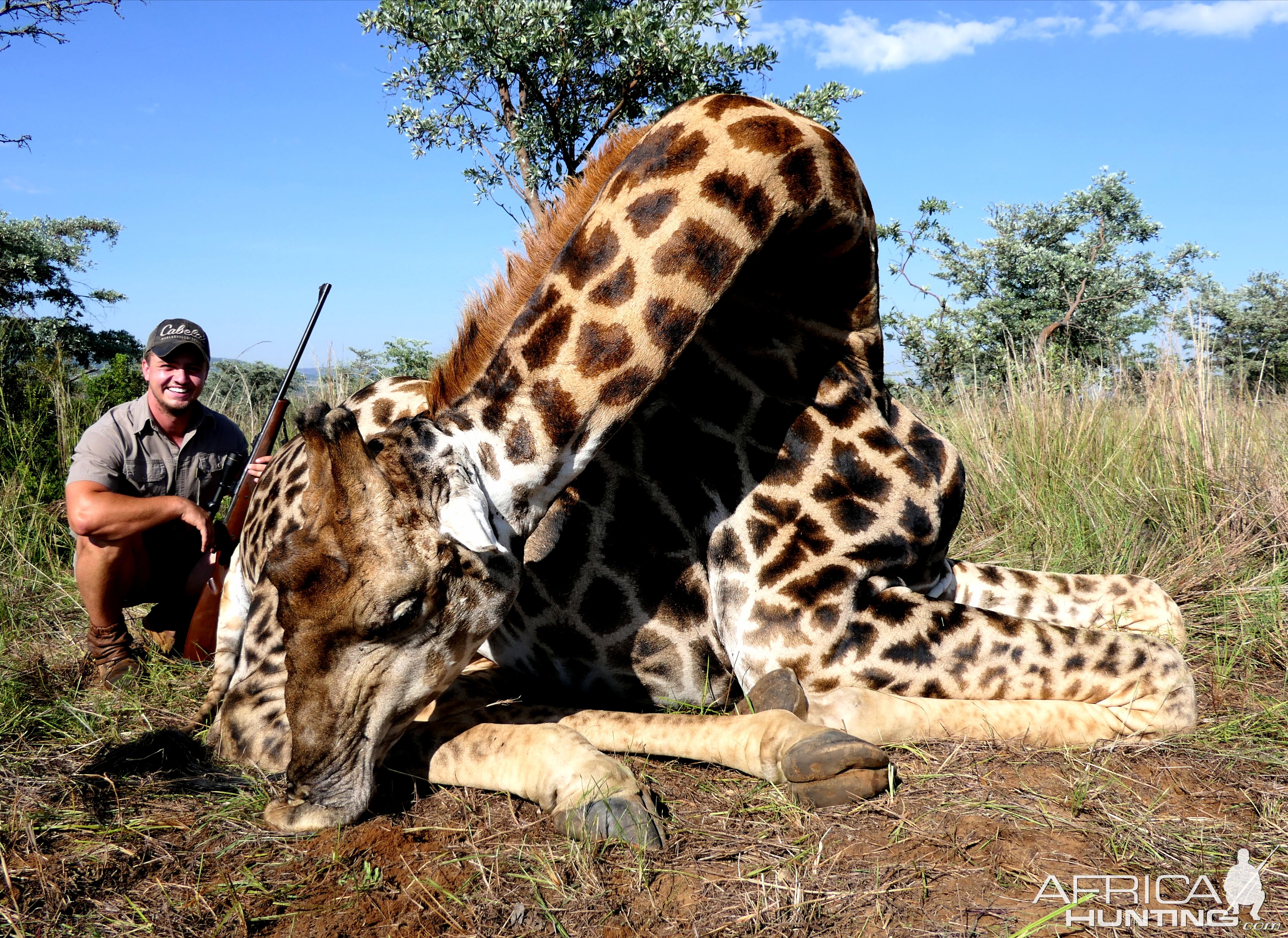 Giraffe Hunt South Africa