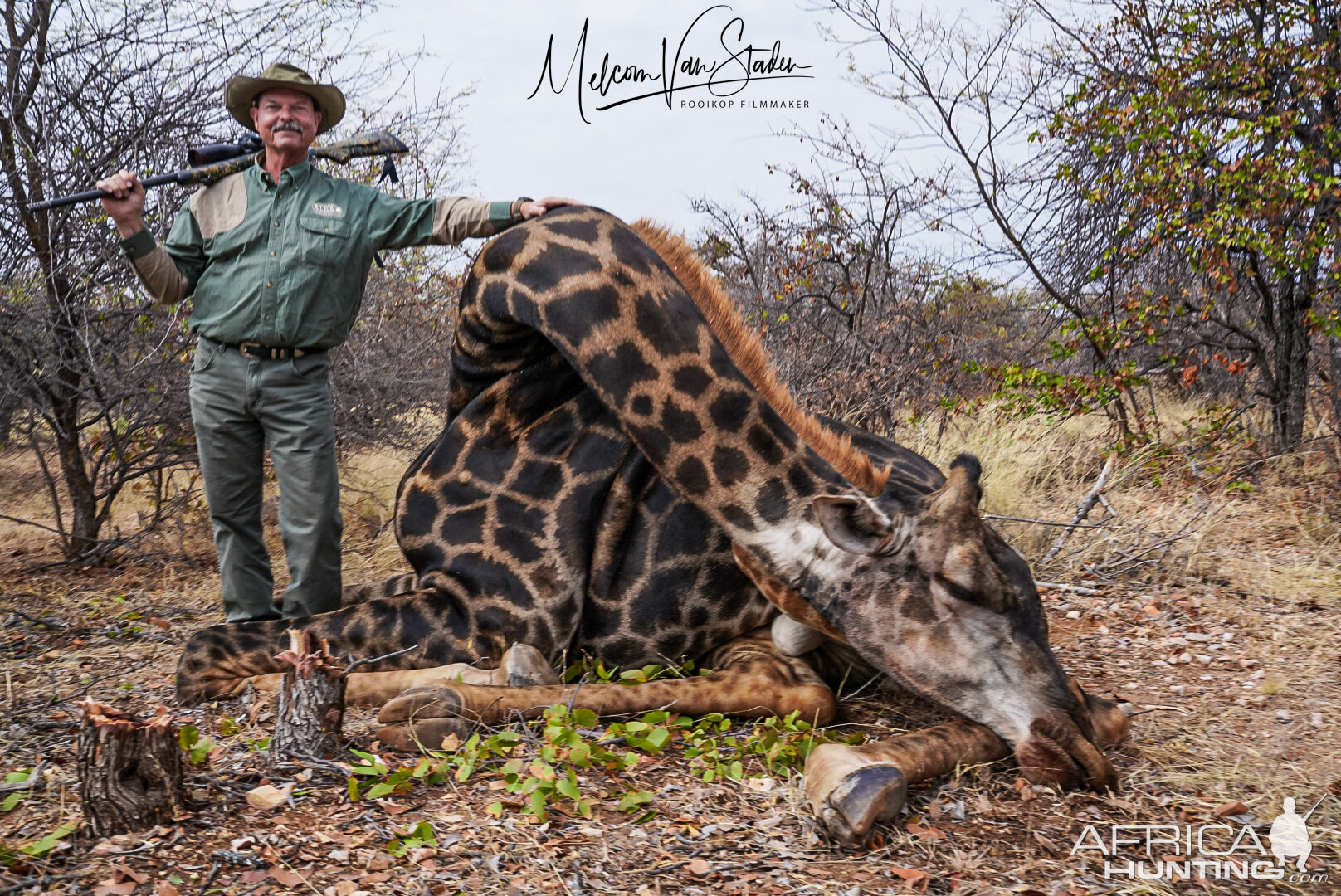 Giraffe Hunt South Africa