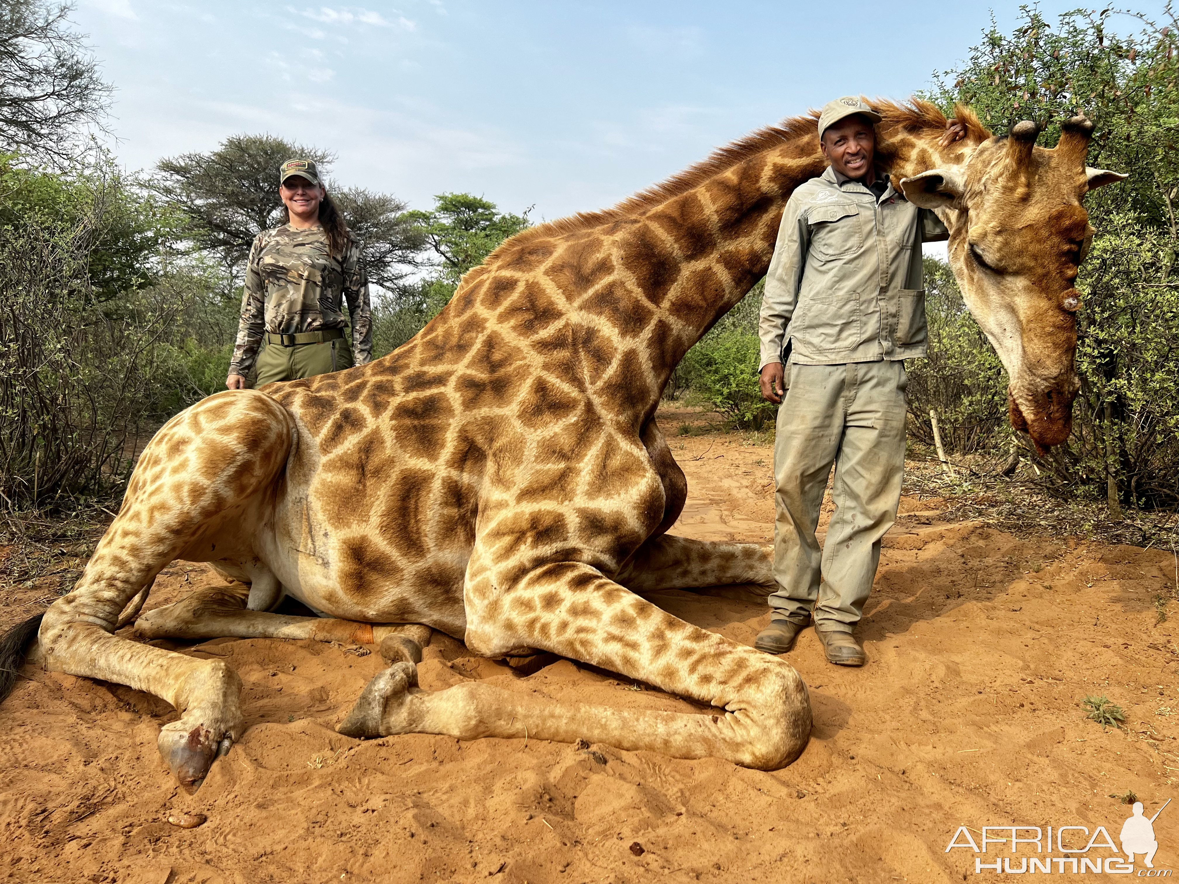 Giraffe Hunt South Africa