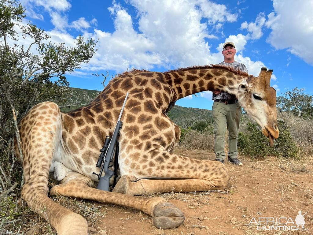 Giraffe Hunt South Africa