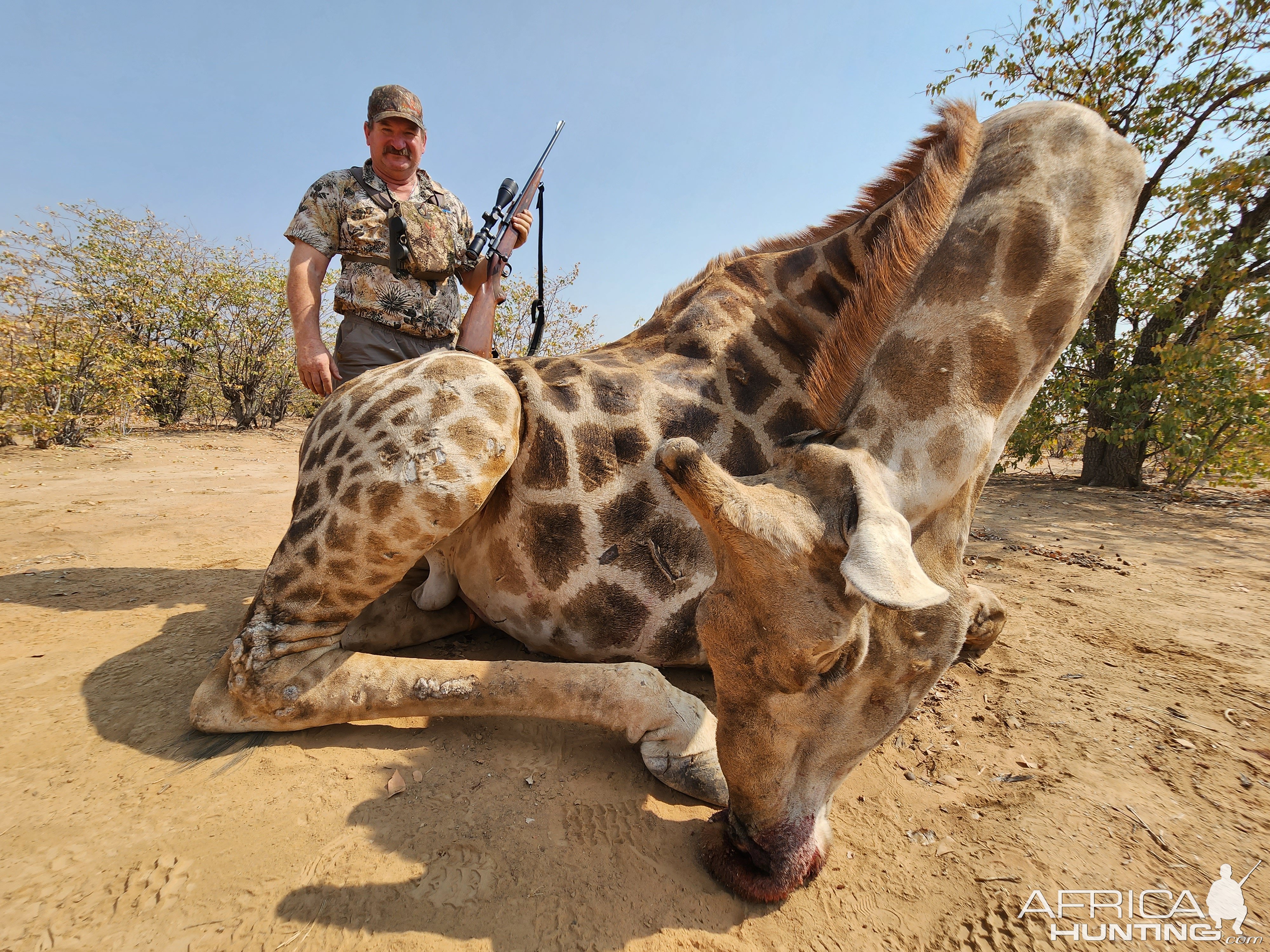 Giraffe Hunt South Africa