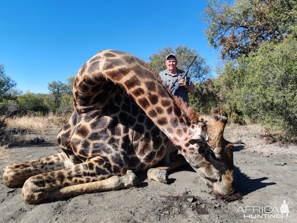 Giraffe Hunt South Africa