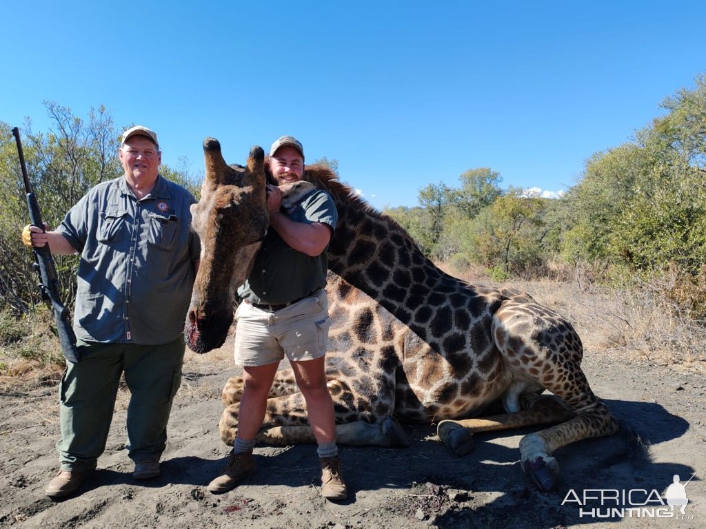 Giraffe Hunt South Africa