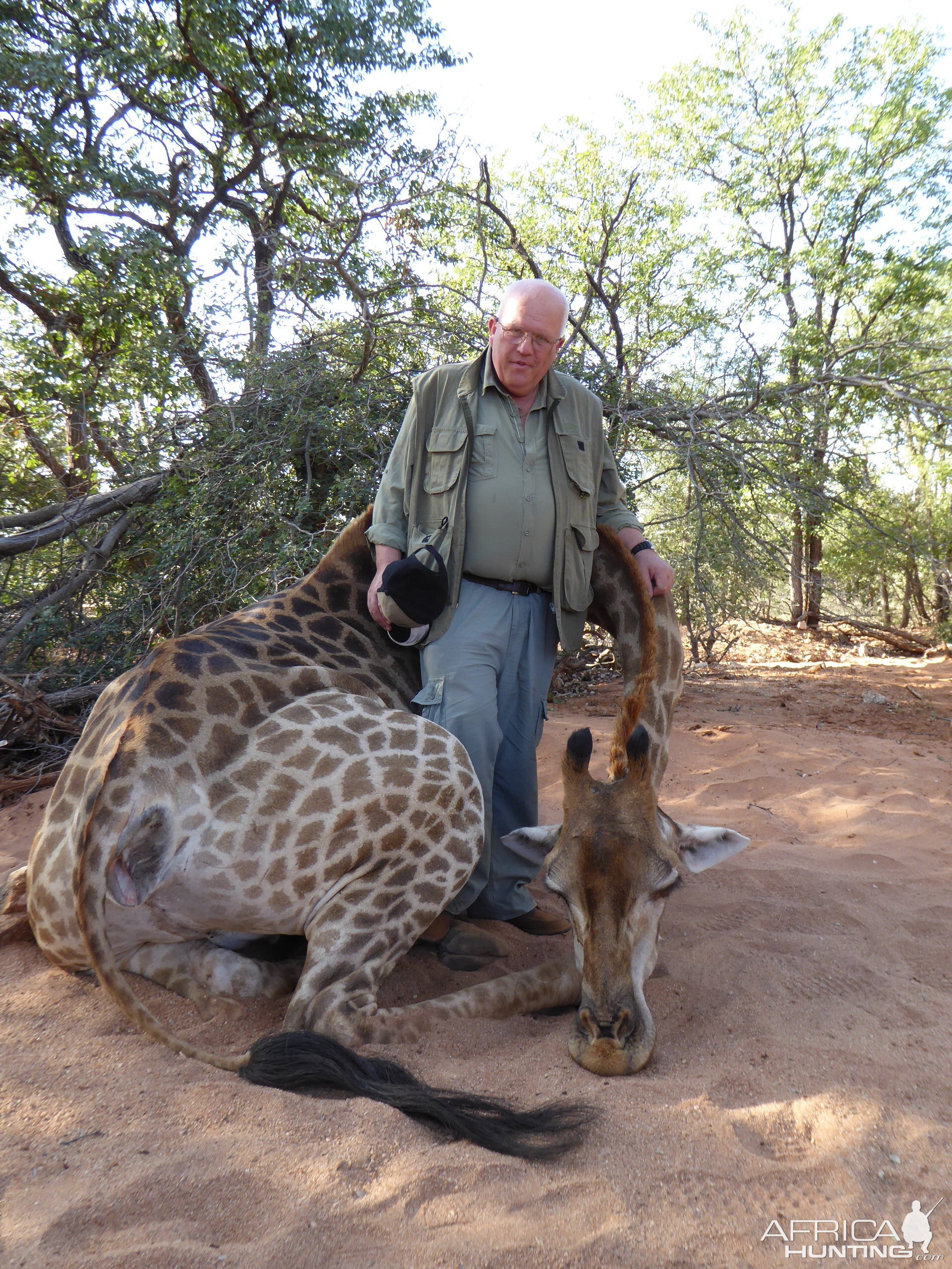 Giraffe Hunt South Africa