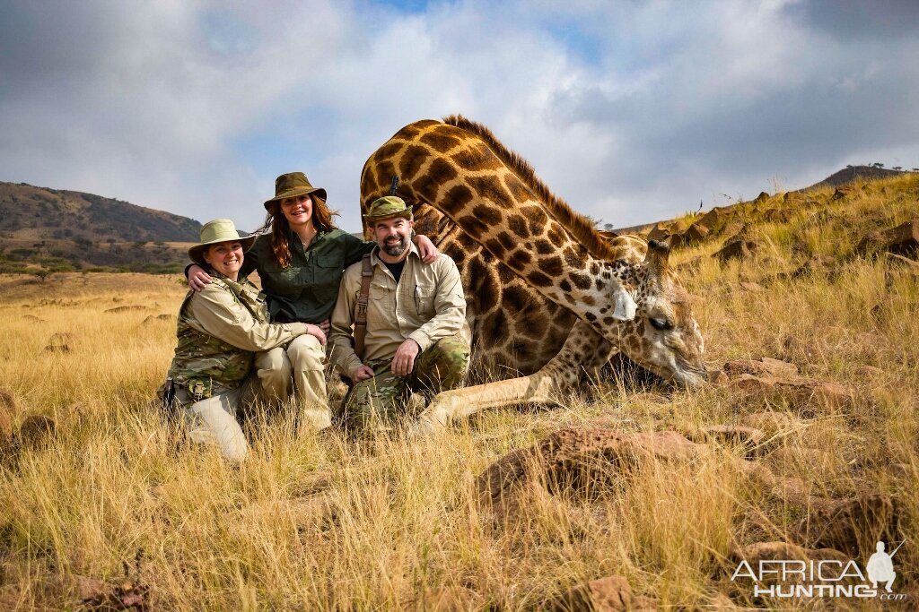 Giraffe Hunt South Africa