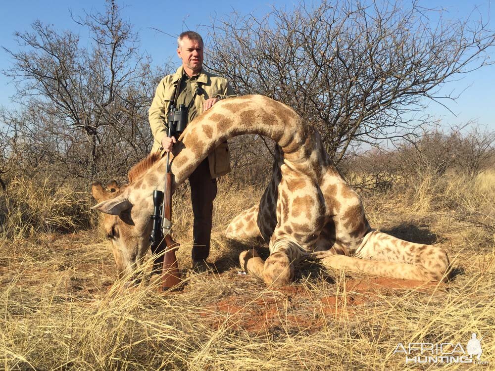 Giraffe Hunt South Africa