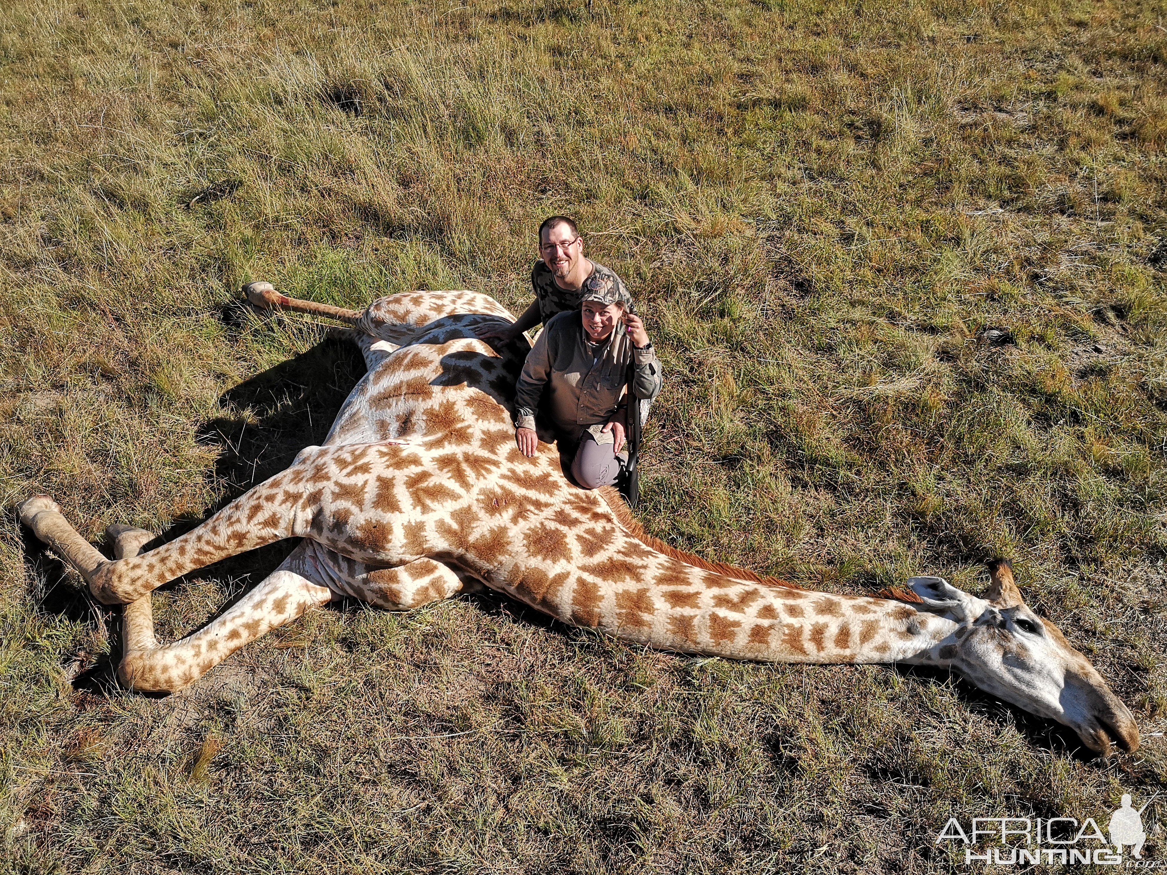 Giraffe Hunt South Africa