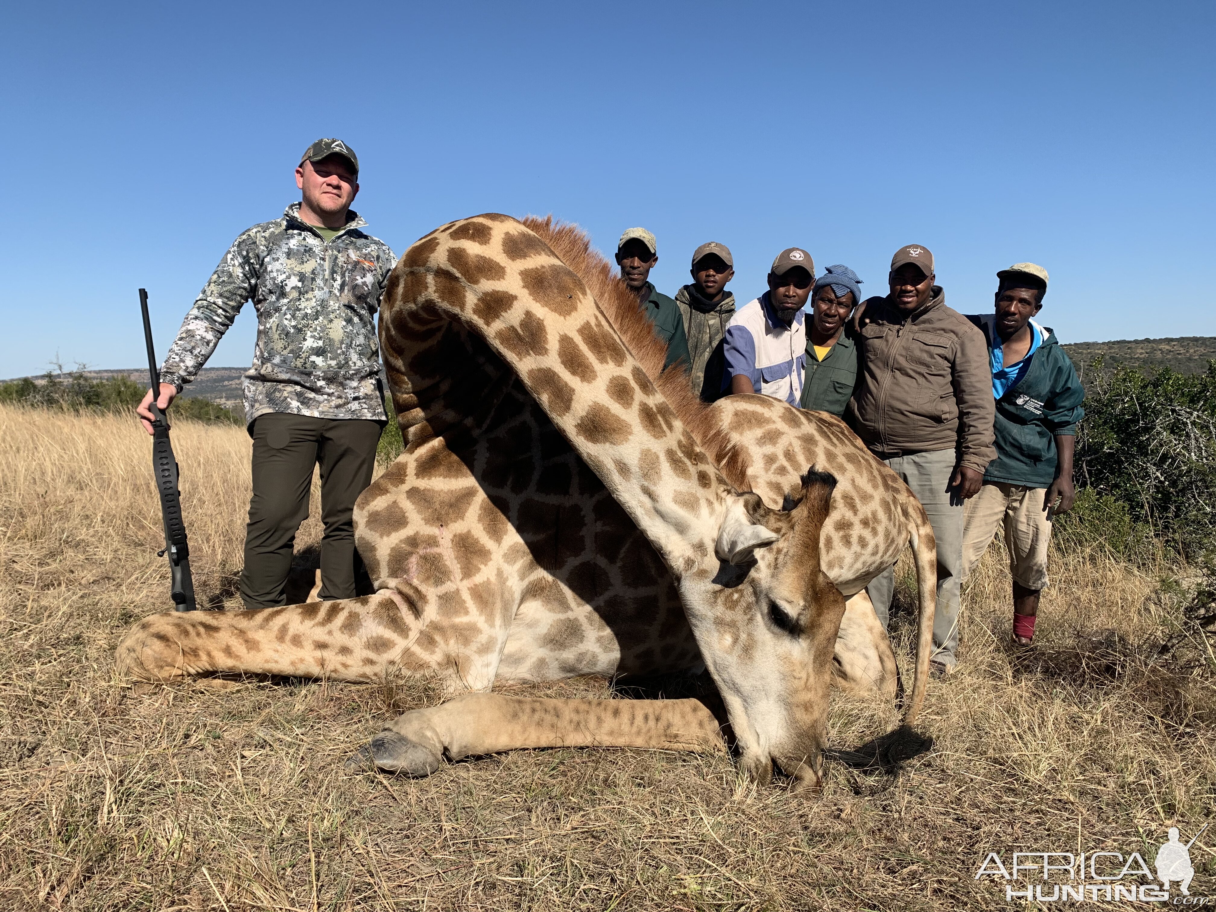 Giraffe Hunt South Africa