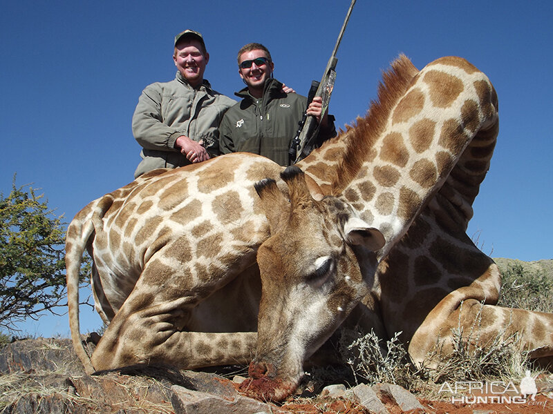 Giraffe hunt with Wintershoek Johnny Vivier Safaris