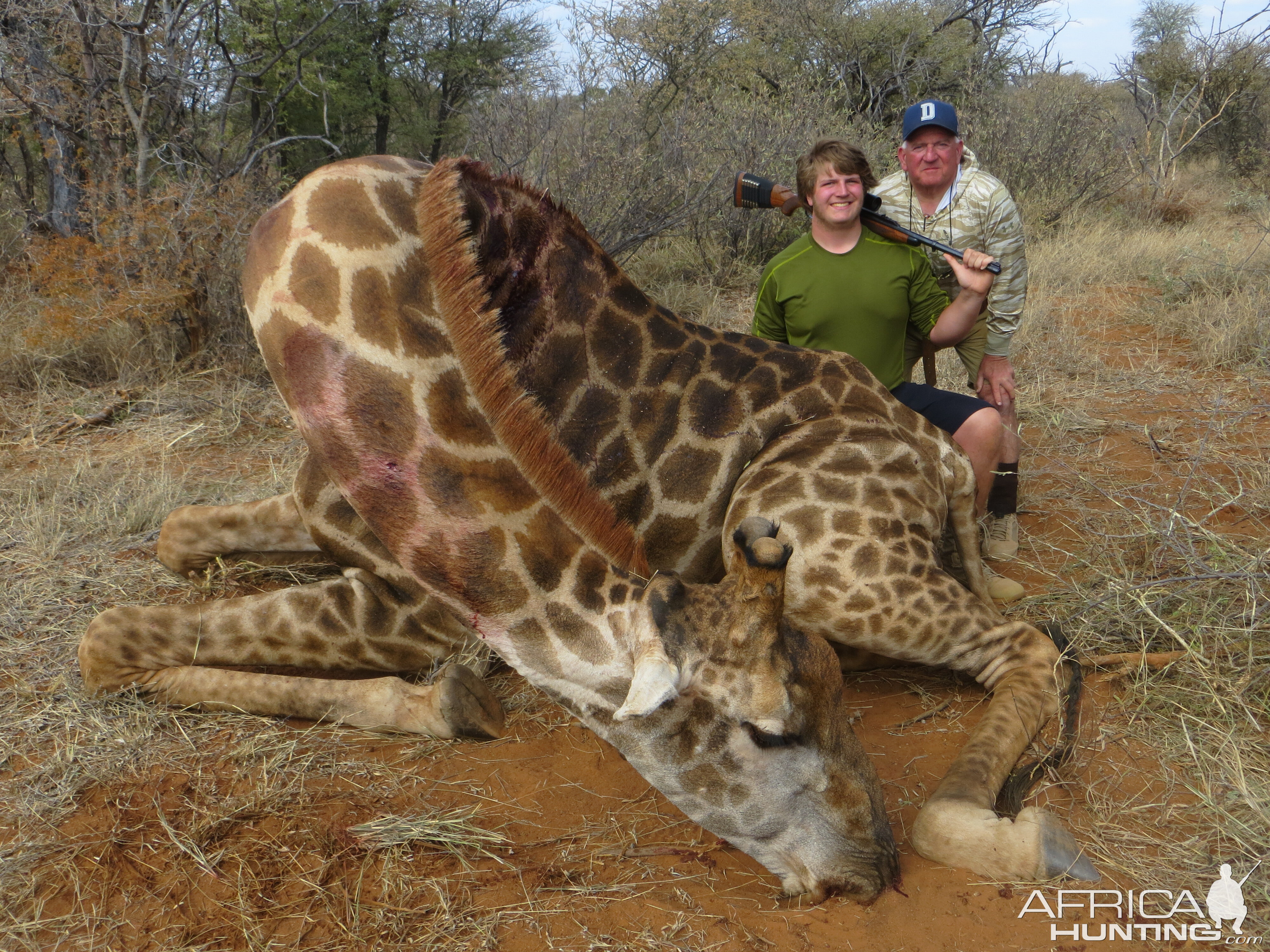 Giraffe hunted with Limcroma Safaris