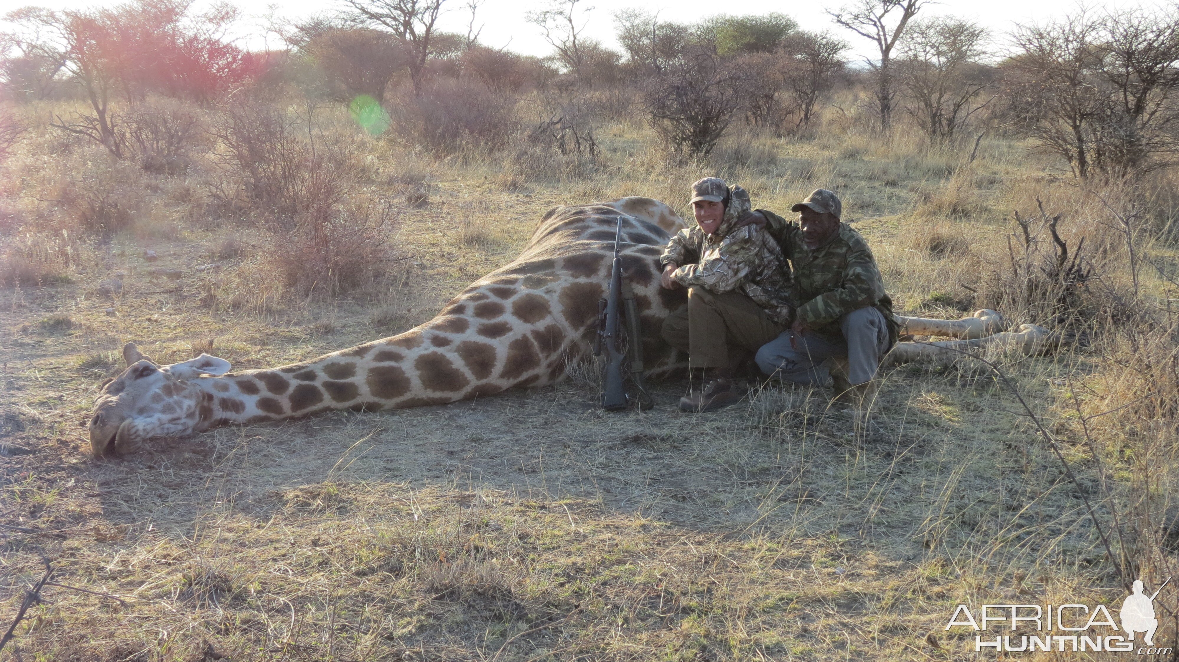 Giraffe hunted with Ozondjahe Hunting Safaris in Namibia