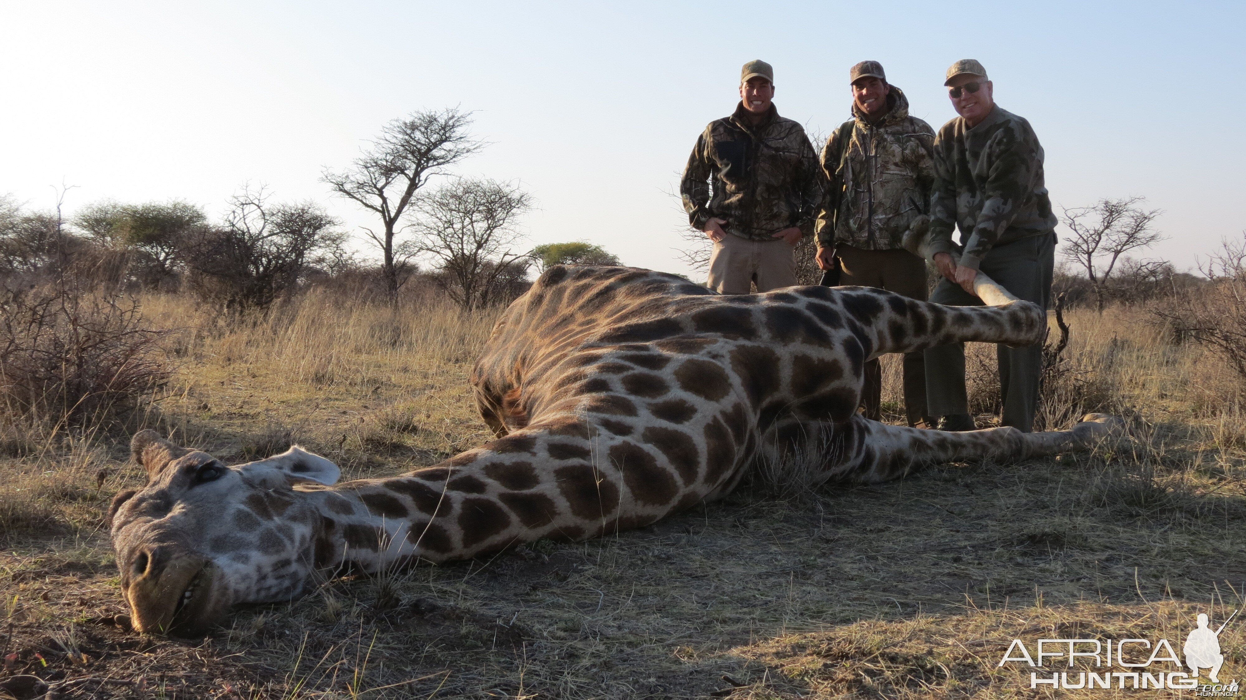 Giraffe hunted with Ozondjahe Hunting Safaris in Namibia