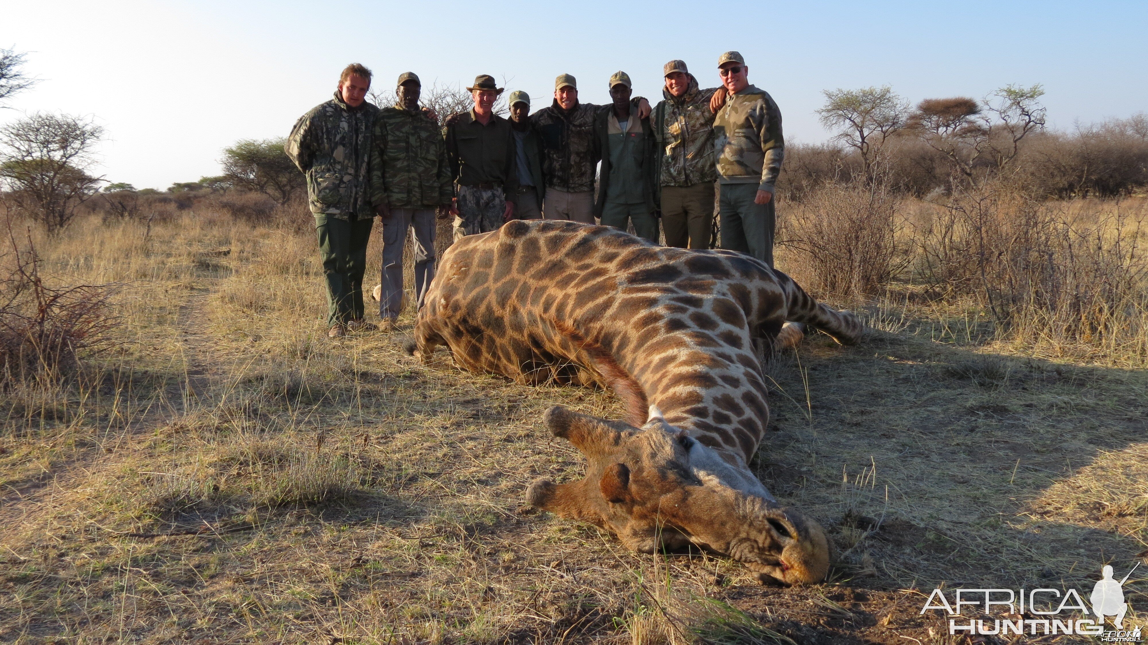 Giraffe hunted with Ozondjahe Hunting Safaris in Namibia