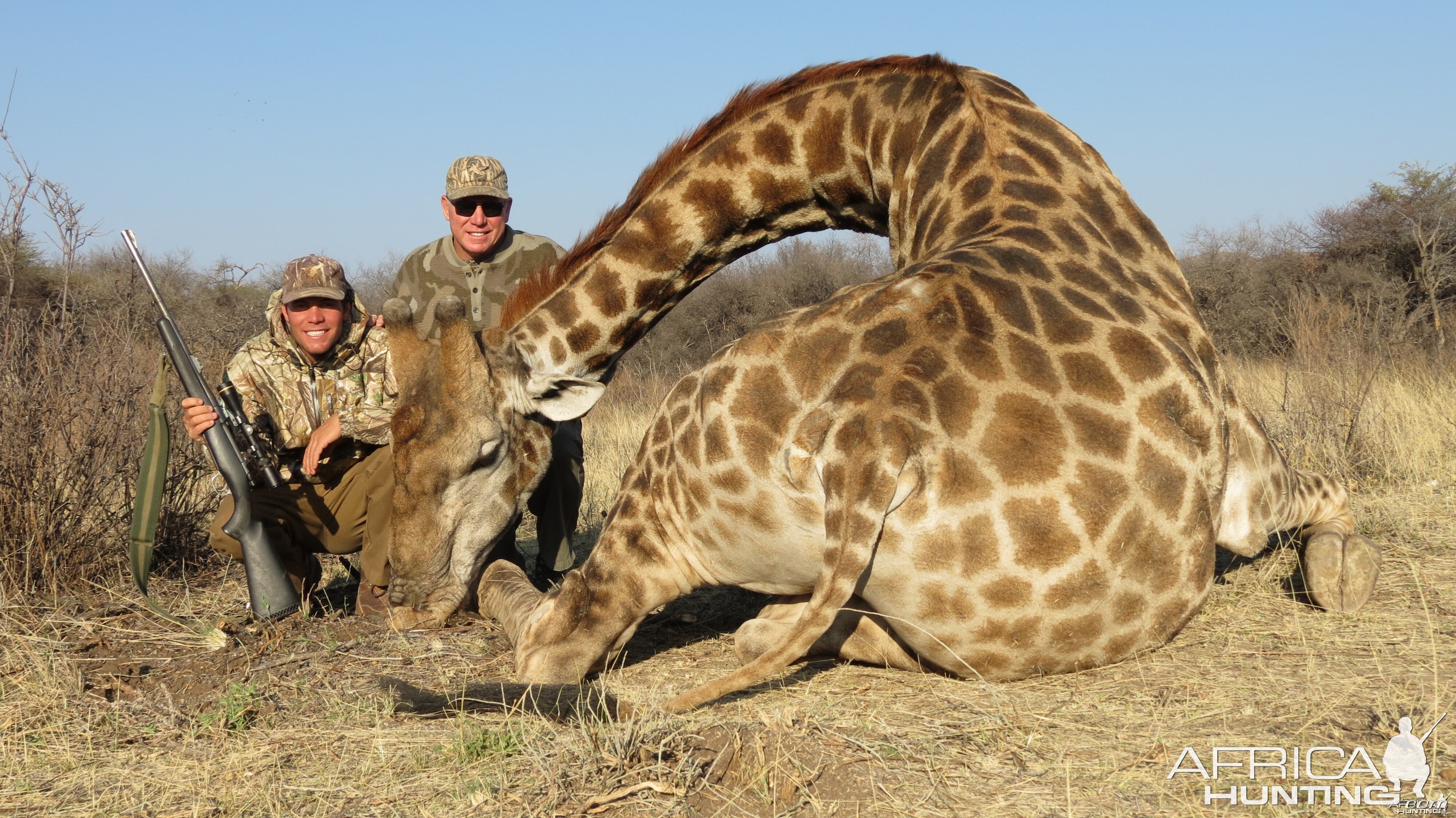 Giraffe hunted with Ozondjahe Hunting Safaris in Namibia