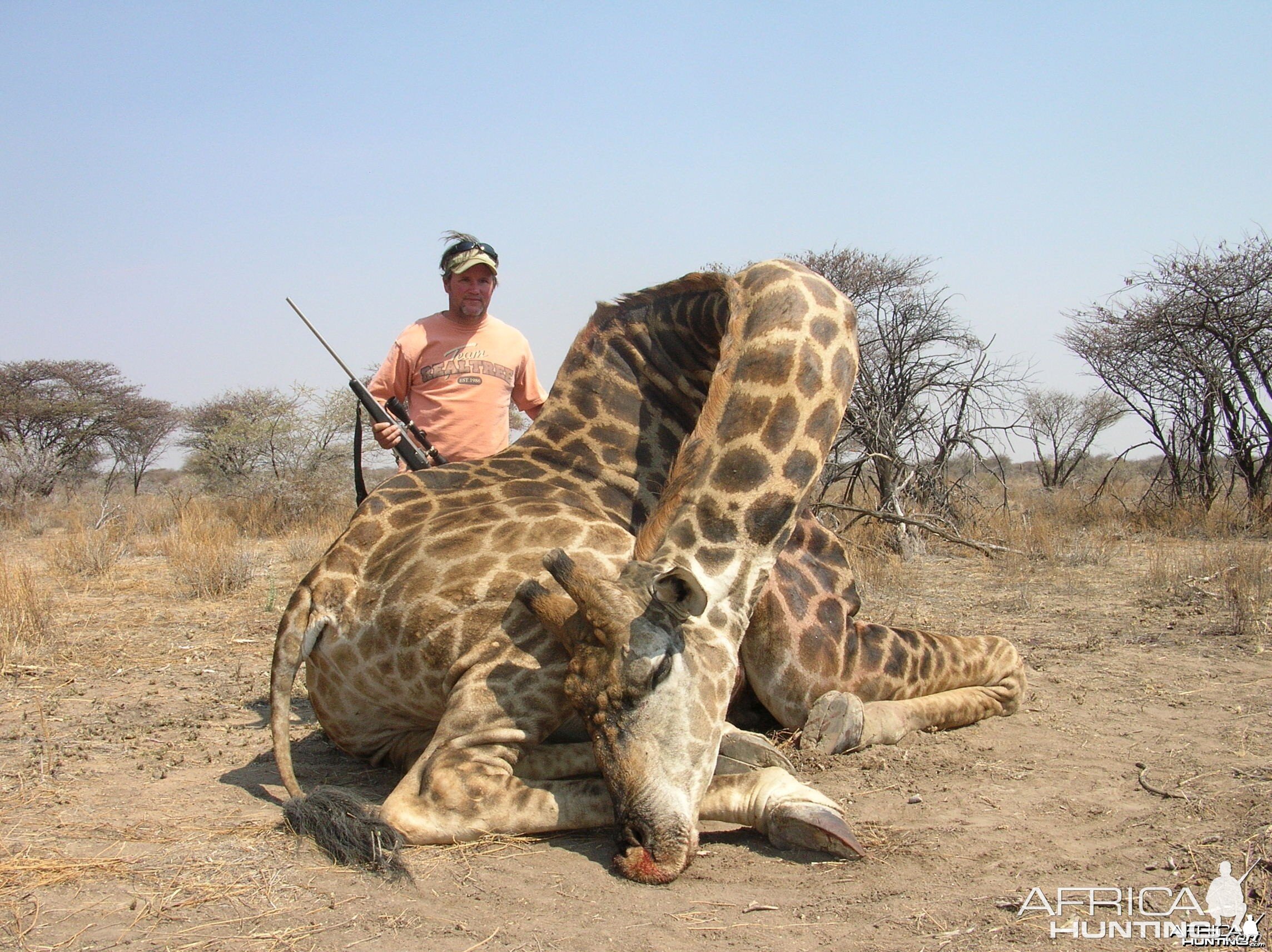 Giraffe Hunting in Namibia