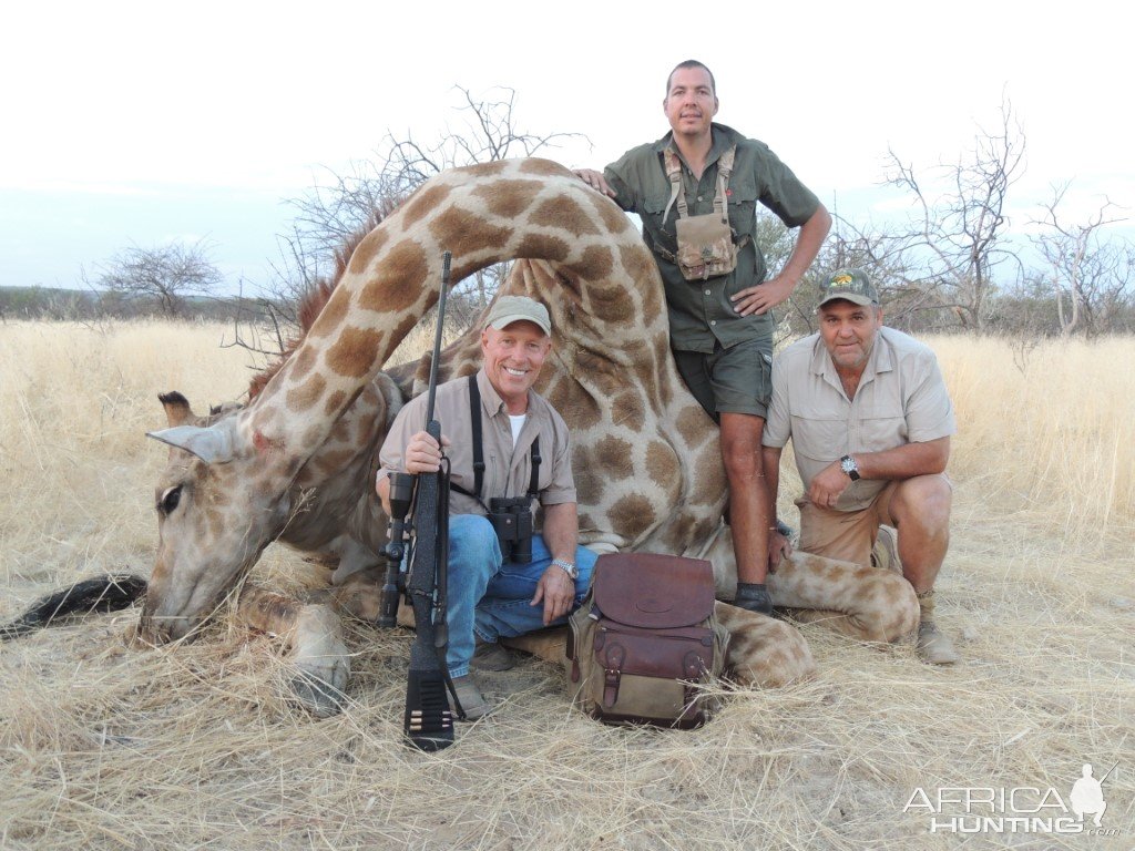 Giraffe Hunting Namibia