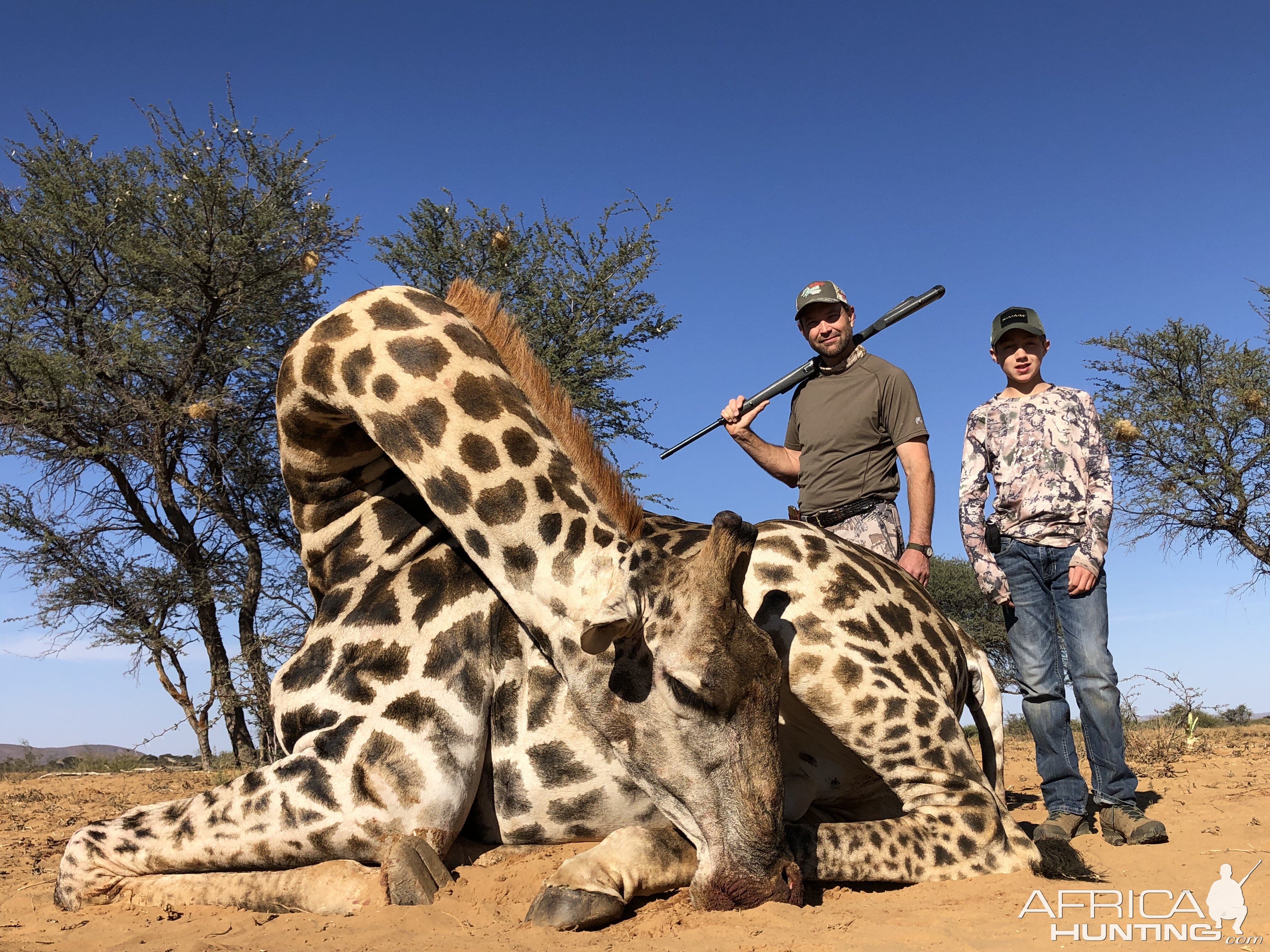 Giraffe Hunting Namibia