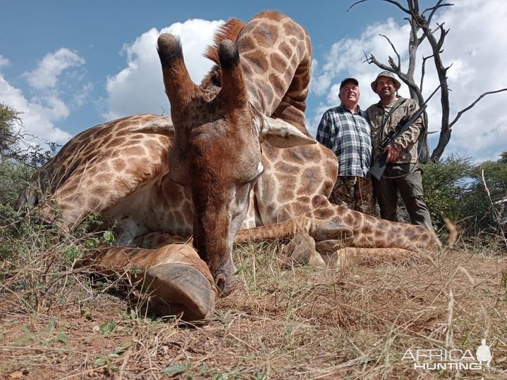 Giraffe Hunting South Africa