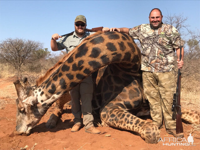 Giraffe Hunting South Africa