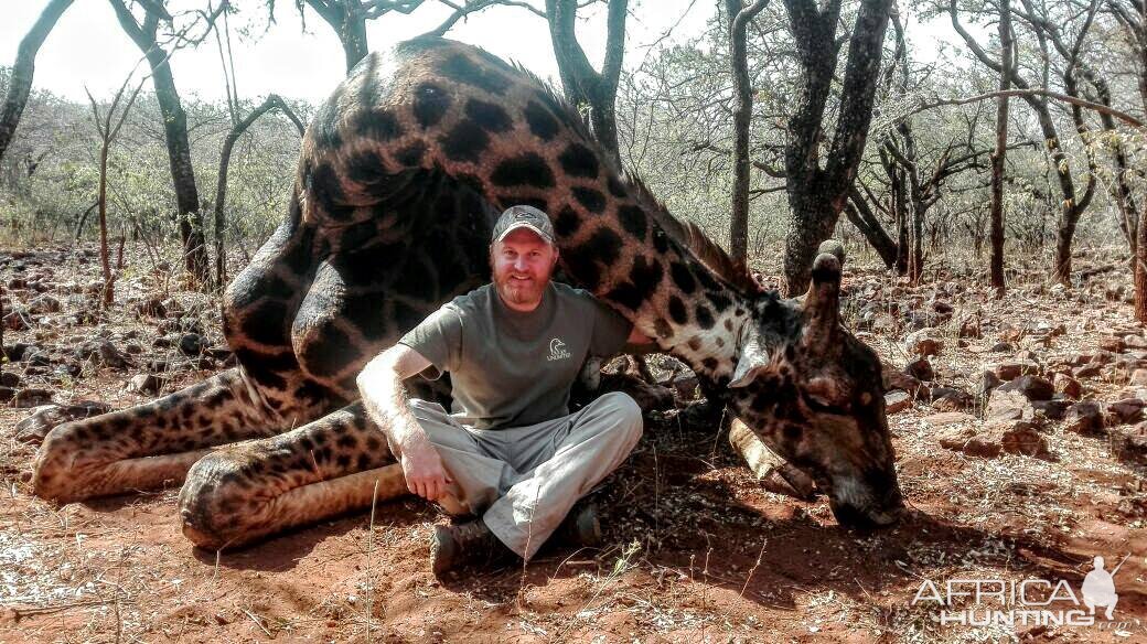 Giraffe South Africa Hunting