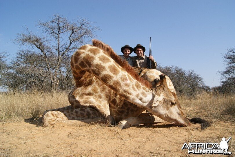 Giraffe South Africa