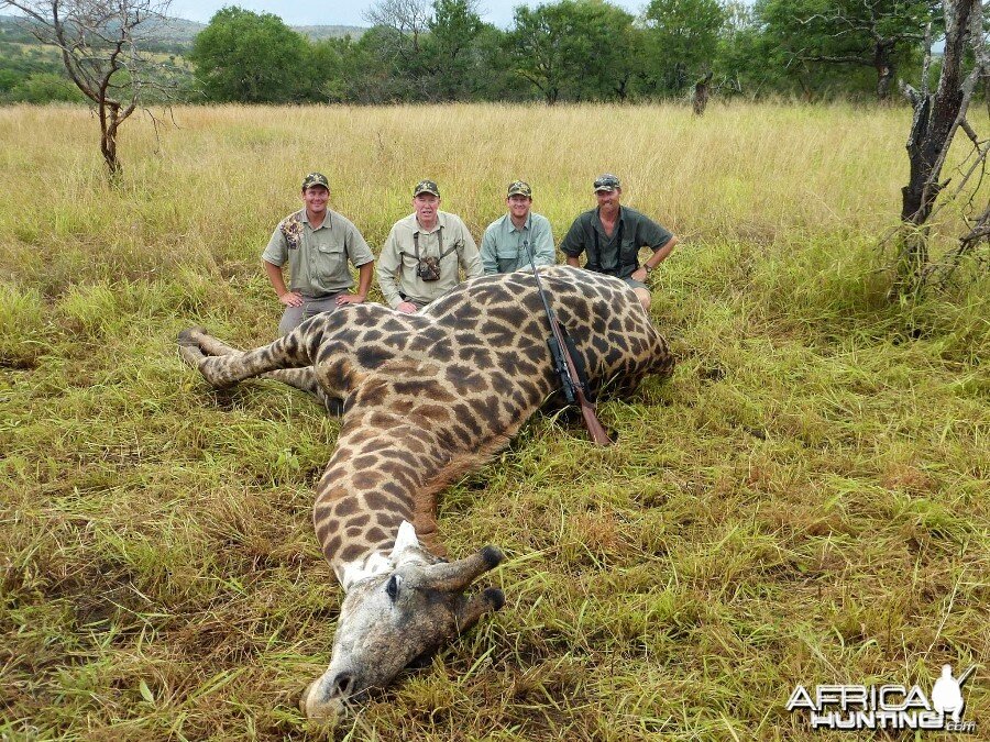 Giraffe with Kido Safaris