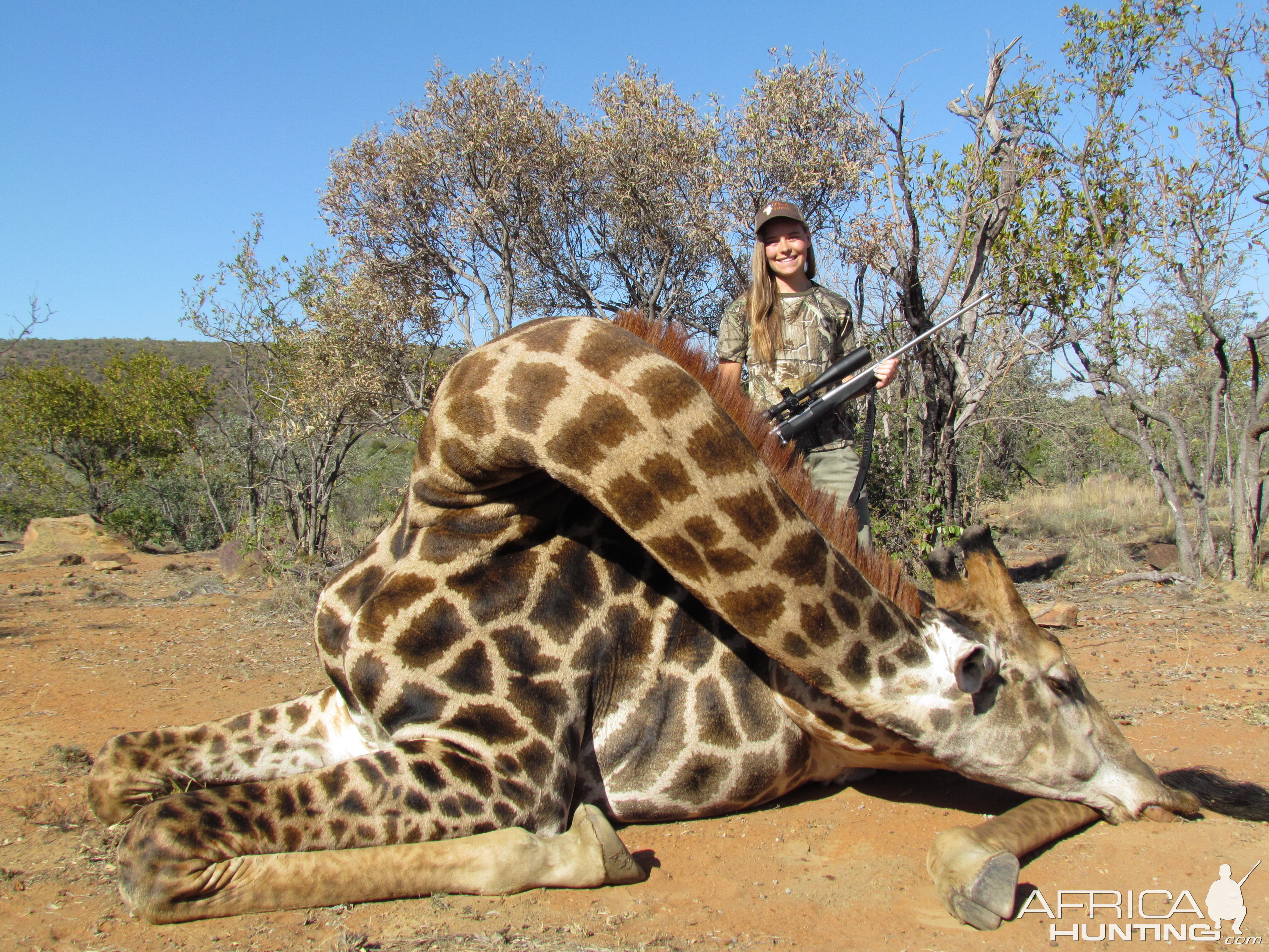 Giraffe with Limcroma Safaris