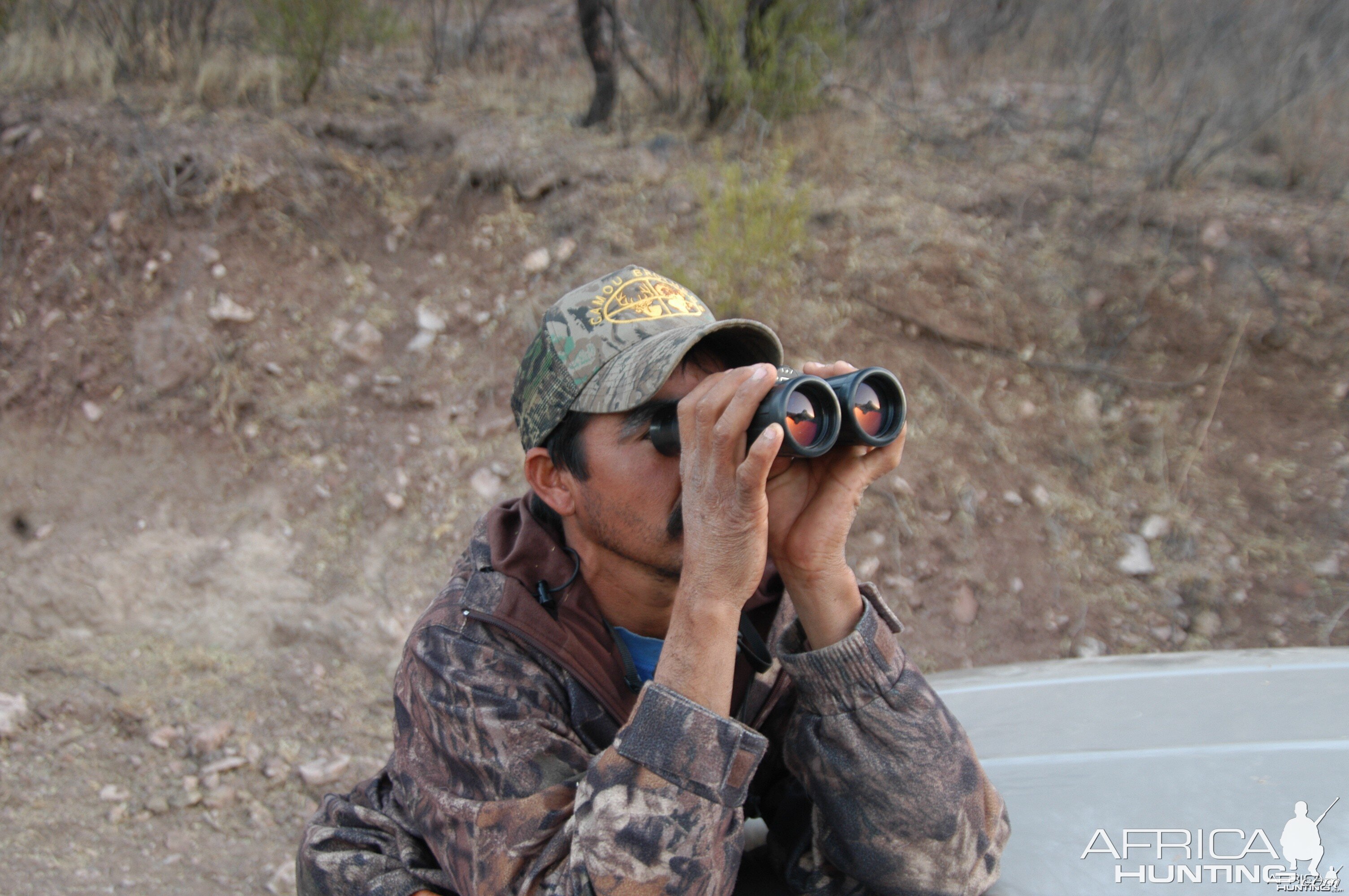 Glass for Coues Deer