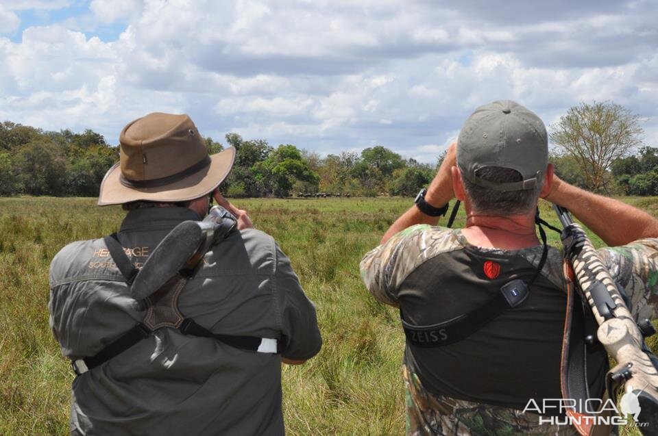 Glassing a big herd of buffalo