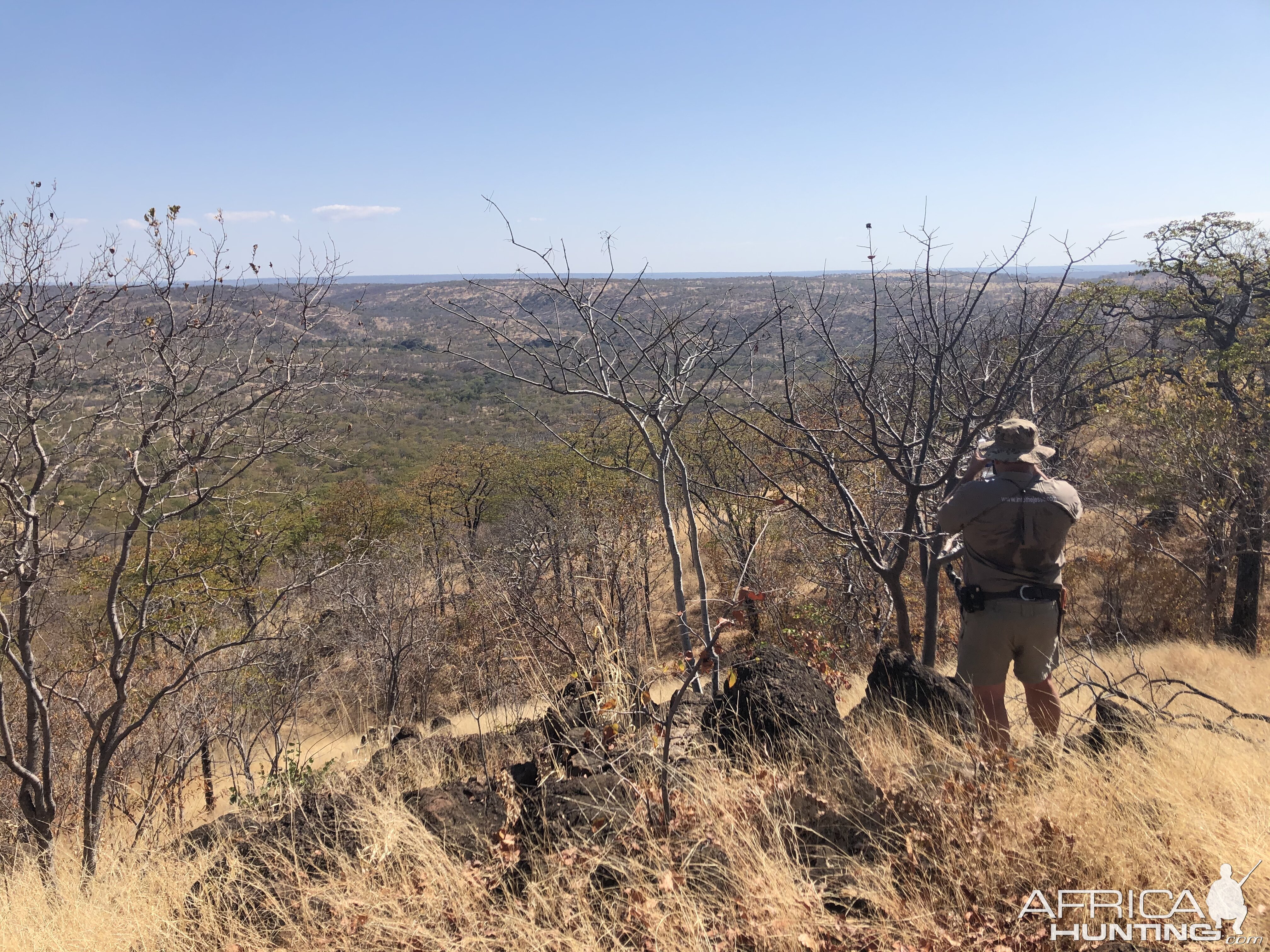 Glassing Elephant Zimbabwe