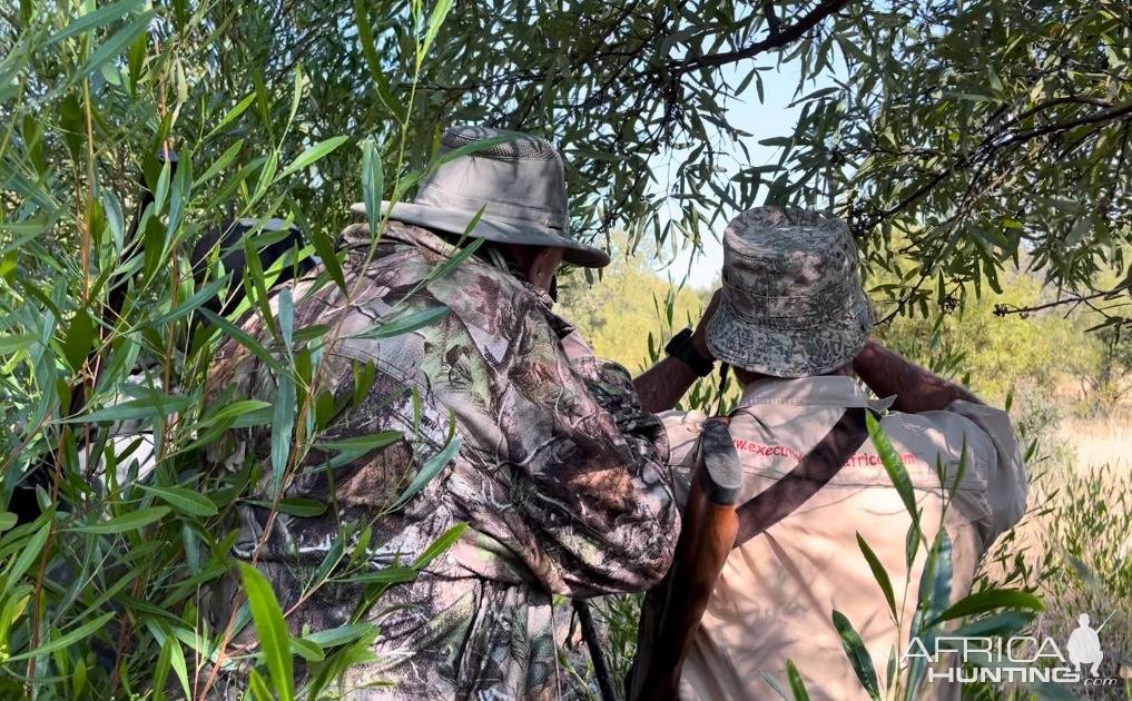 Glassing For Buffalo