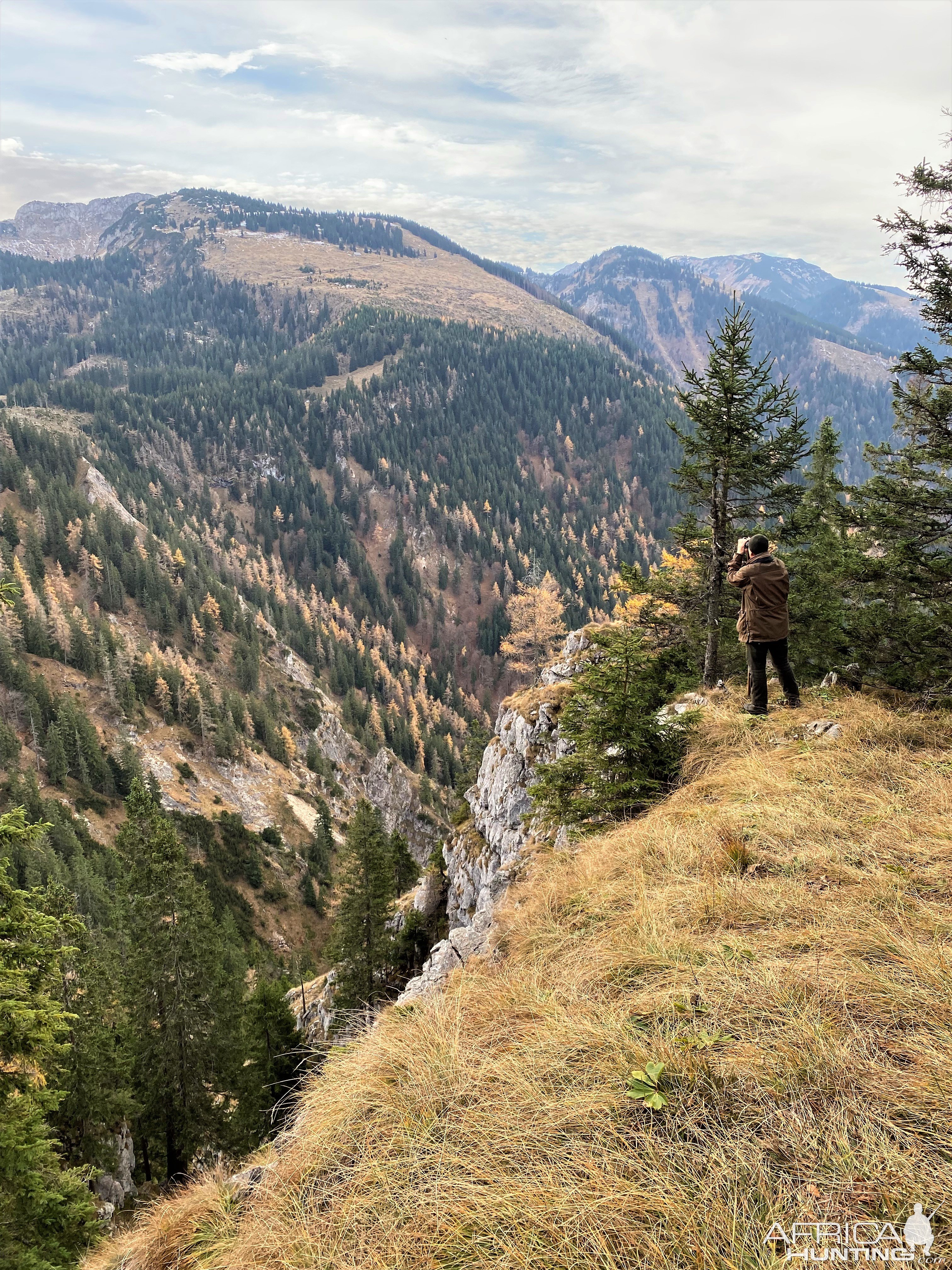 Glassing for Chamois Austria