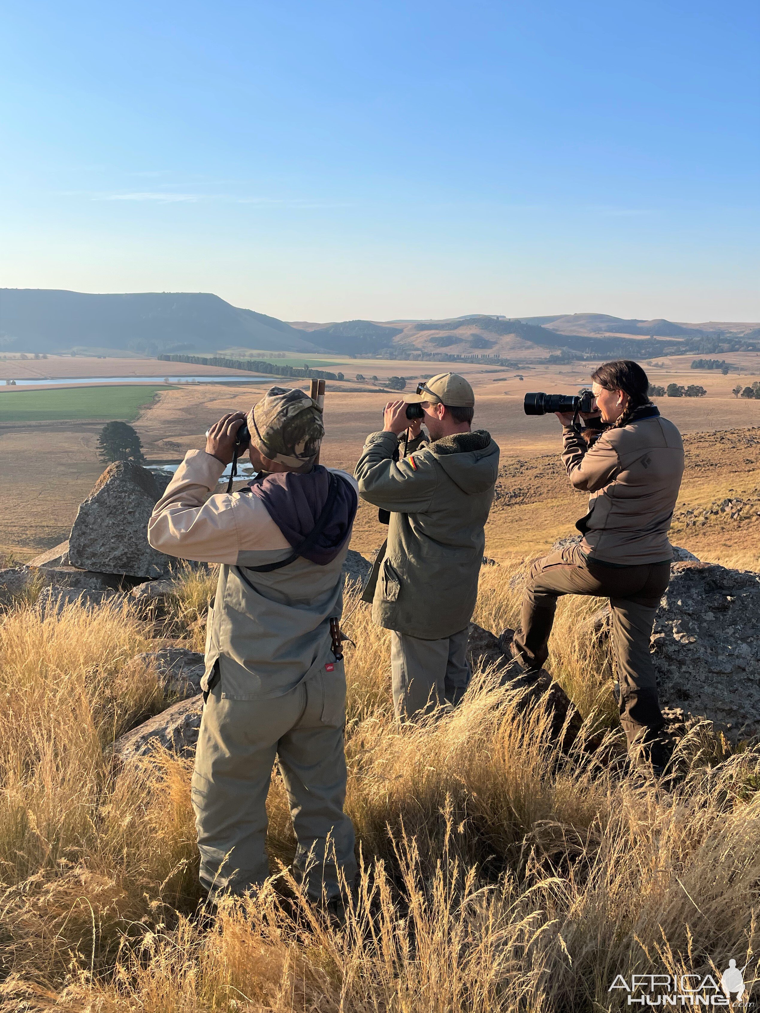 Glassing for Reedbuck South Africa