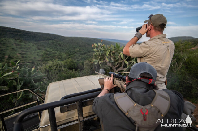 Glassing Game & Hunting South Africa