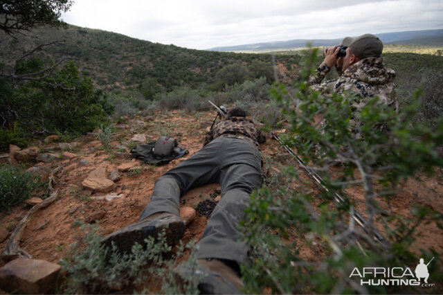 Glassing Game & Hunting South Africa