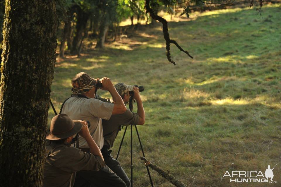 Glassing Game & Hunting with Shooting Stick