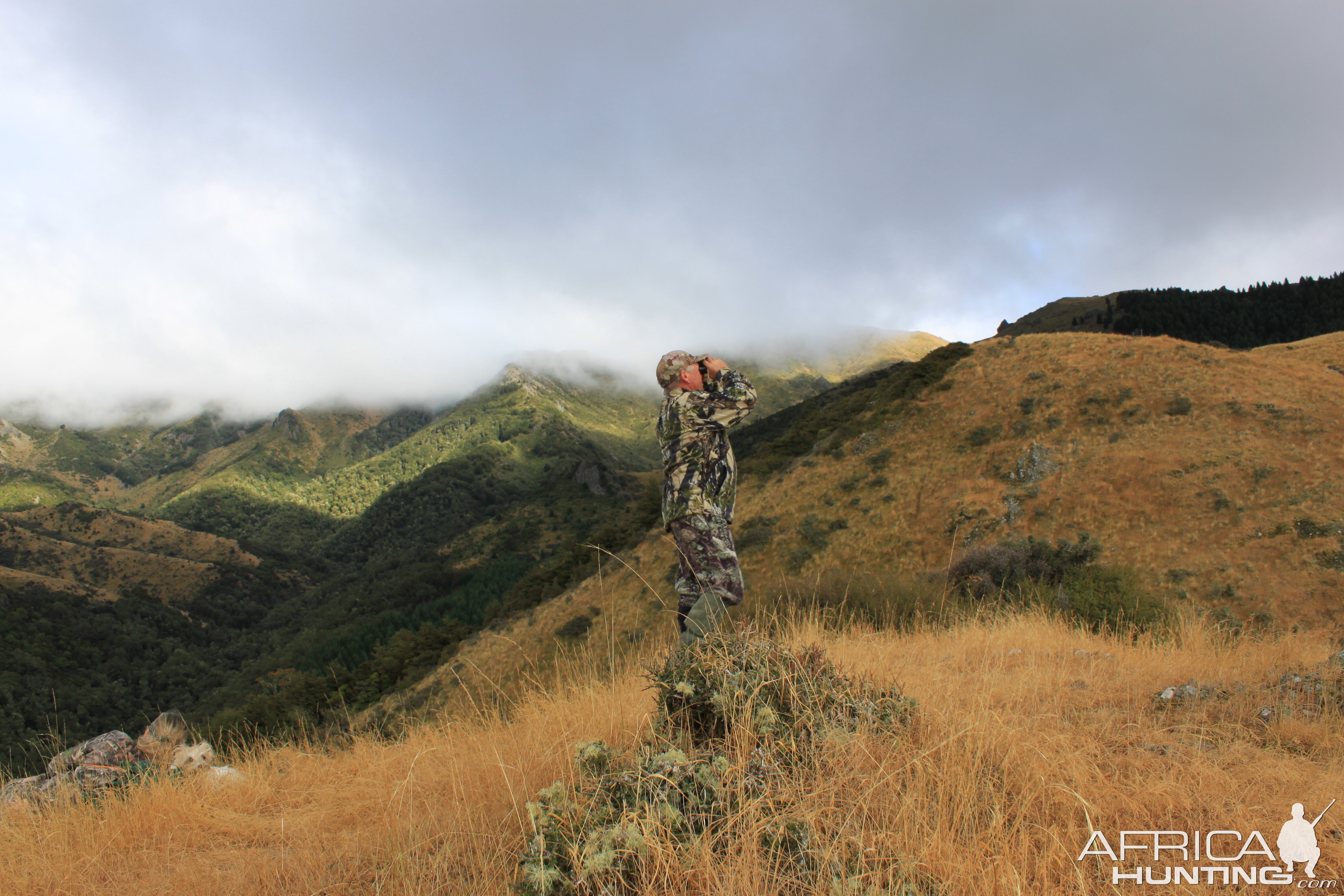 Glassing Game New Zealand