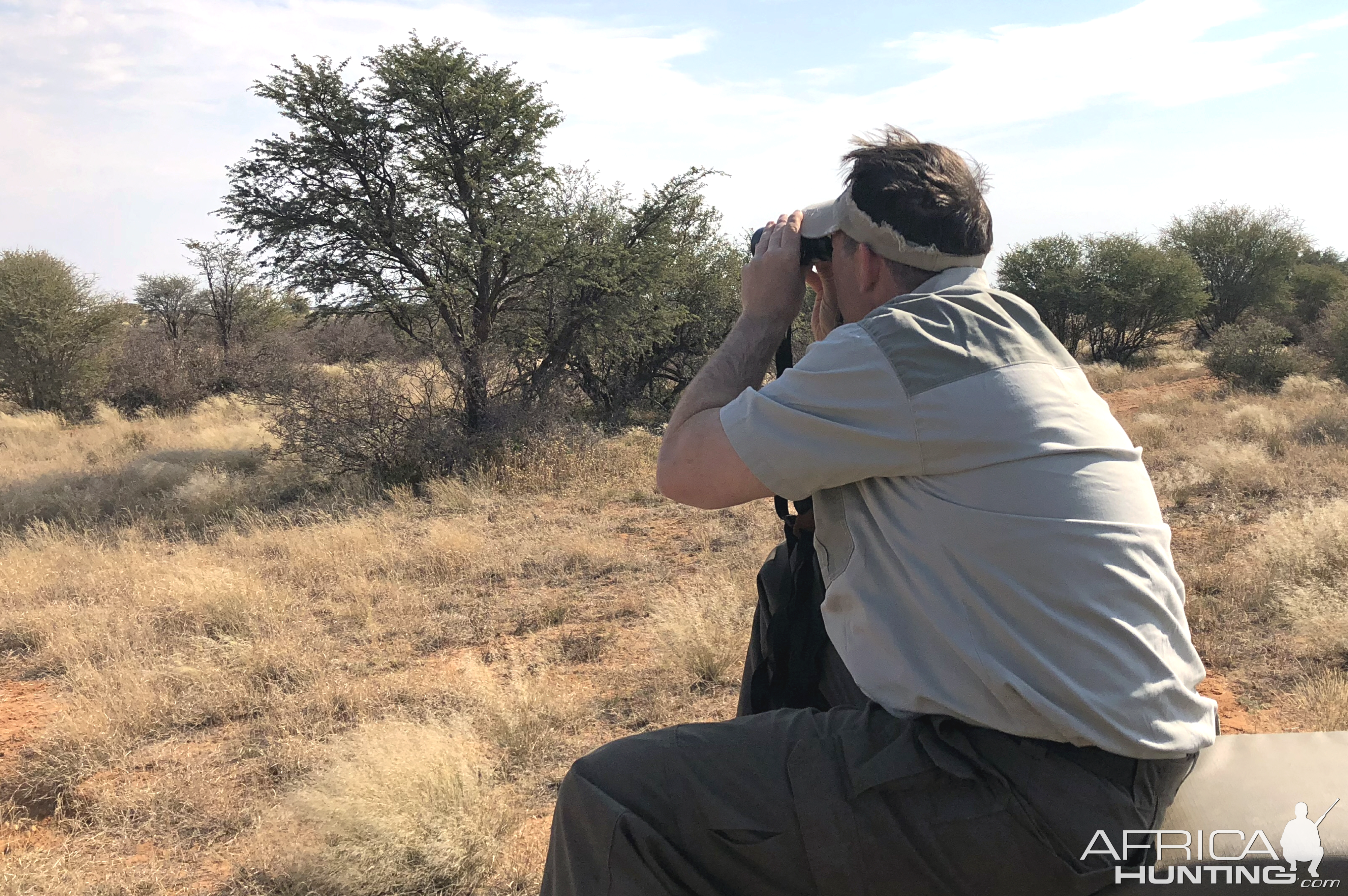 Glassing Springbok